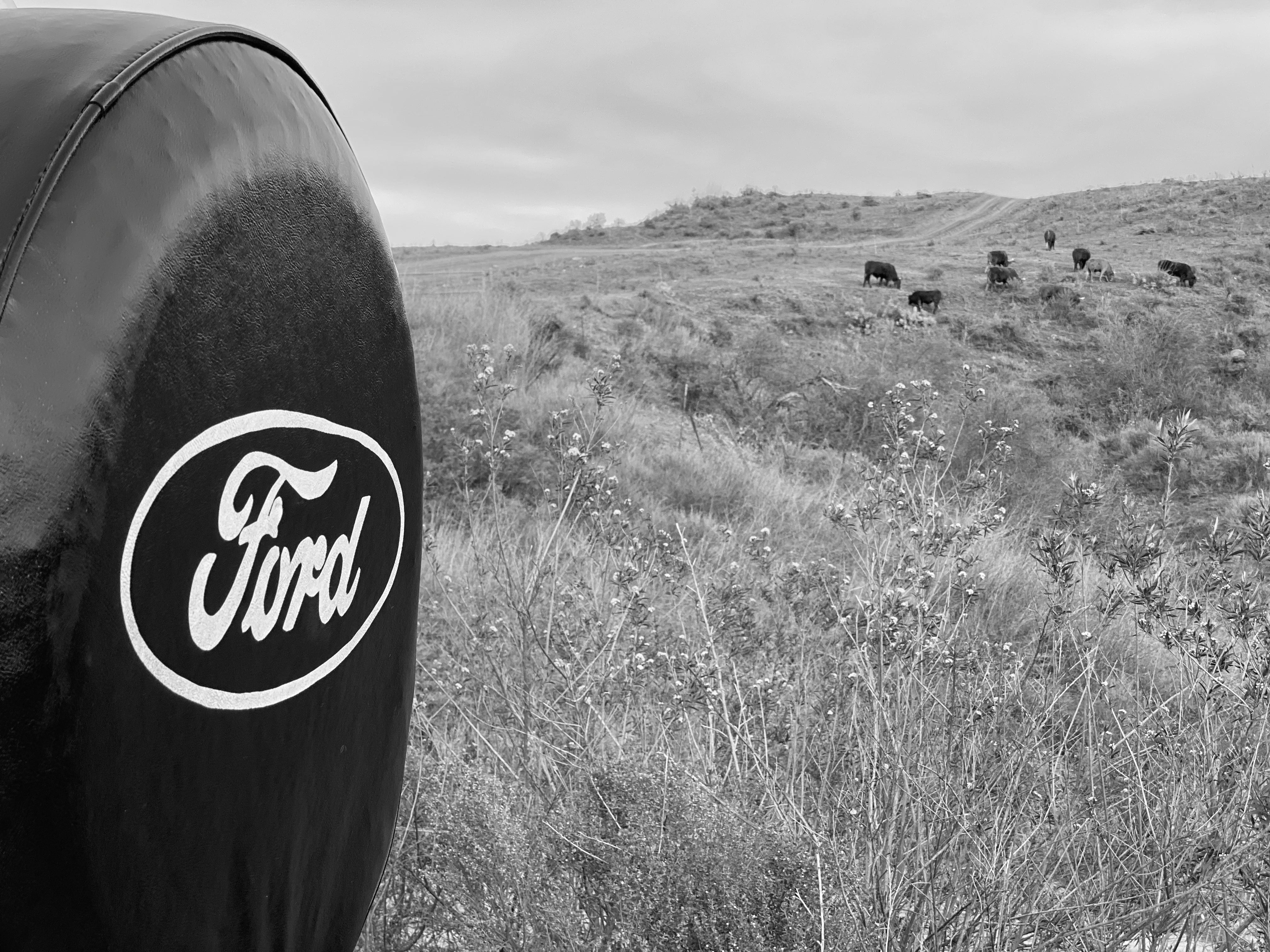 1979 Ford Bronco FINE ART PRINT