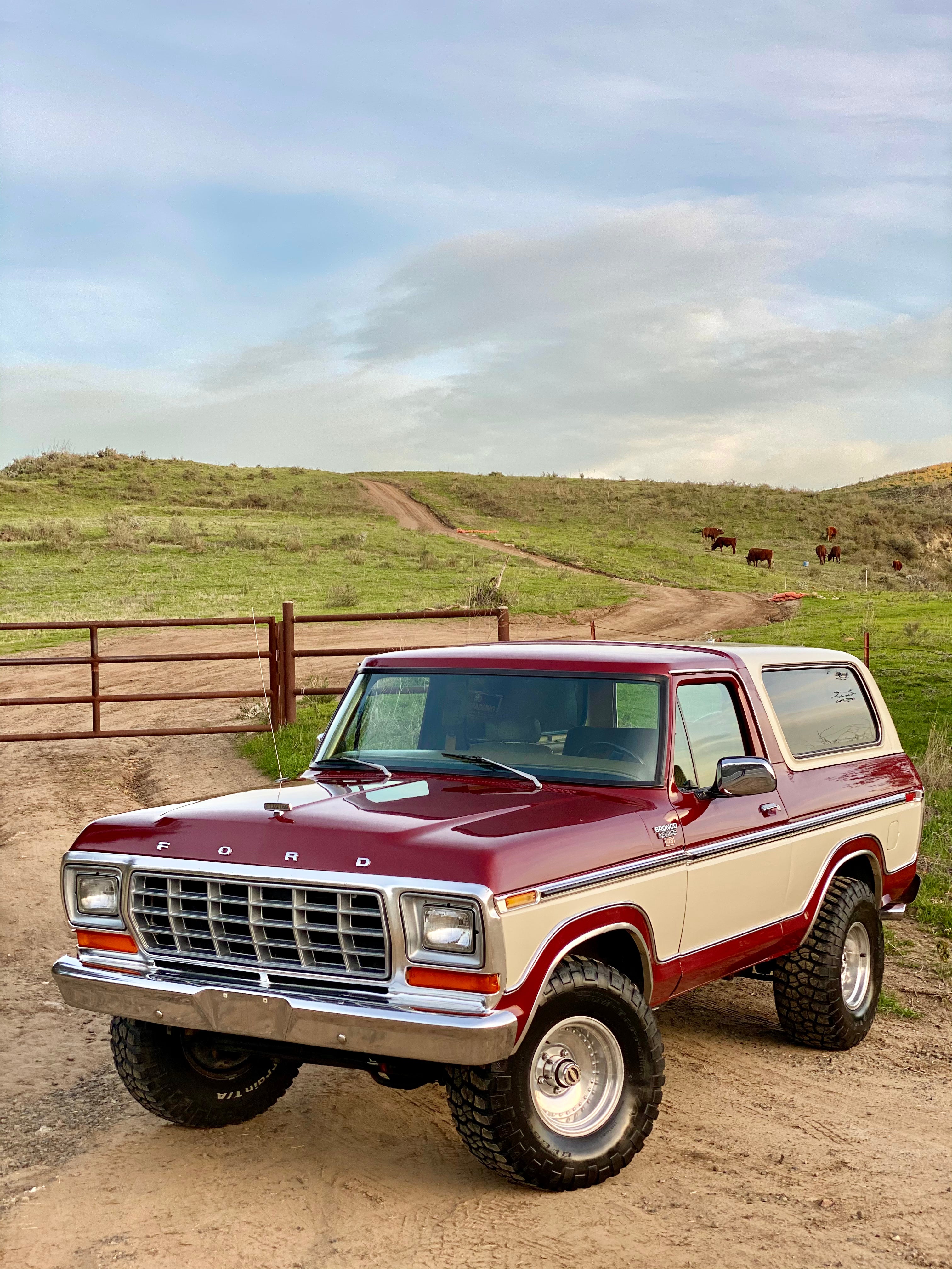 1979 Ford Bronco FINE ART PRINT