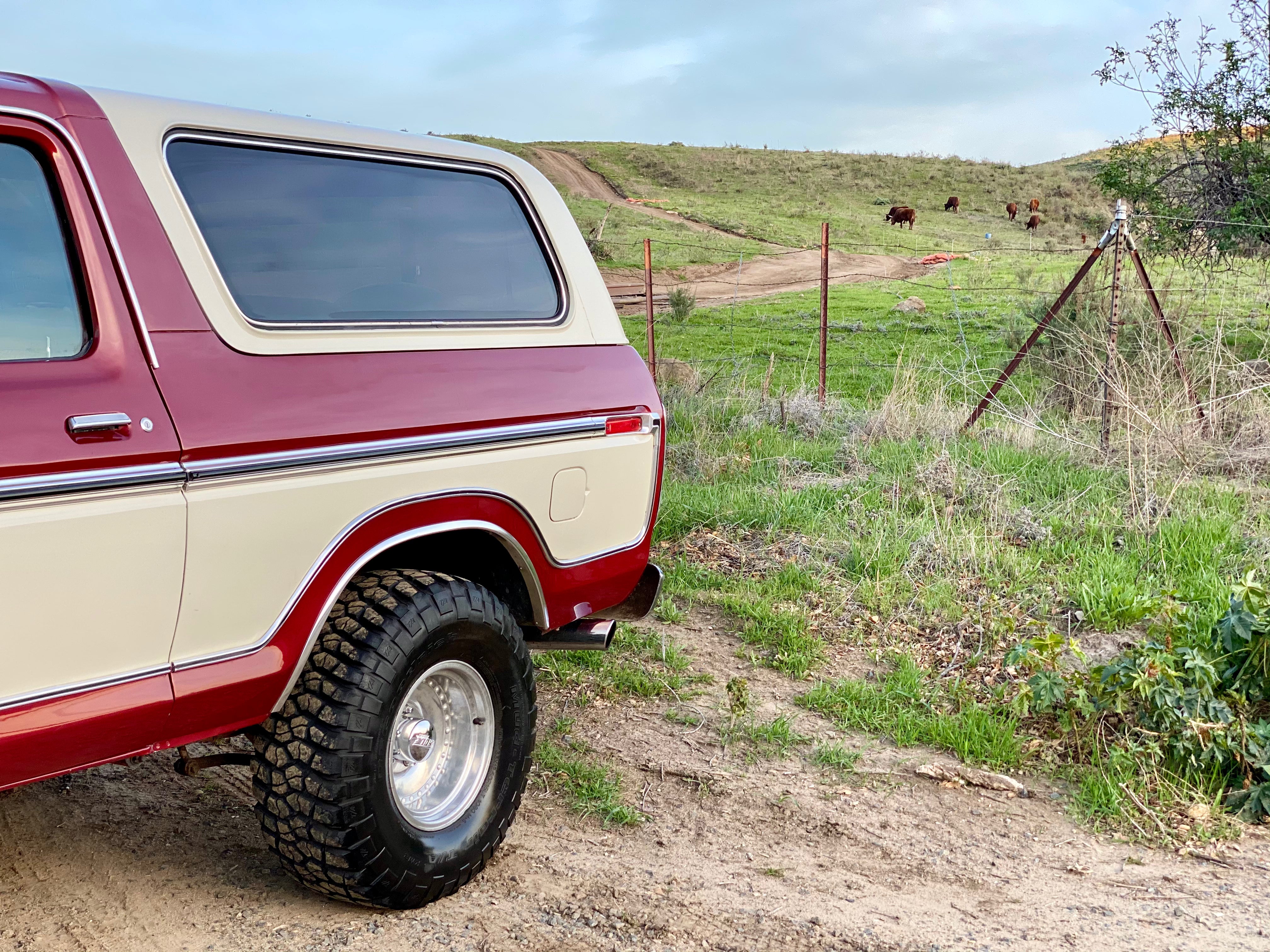 1979 Ford Bronco FINE ART PRINT