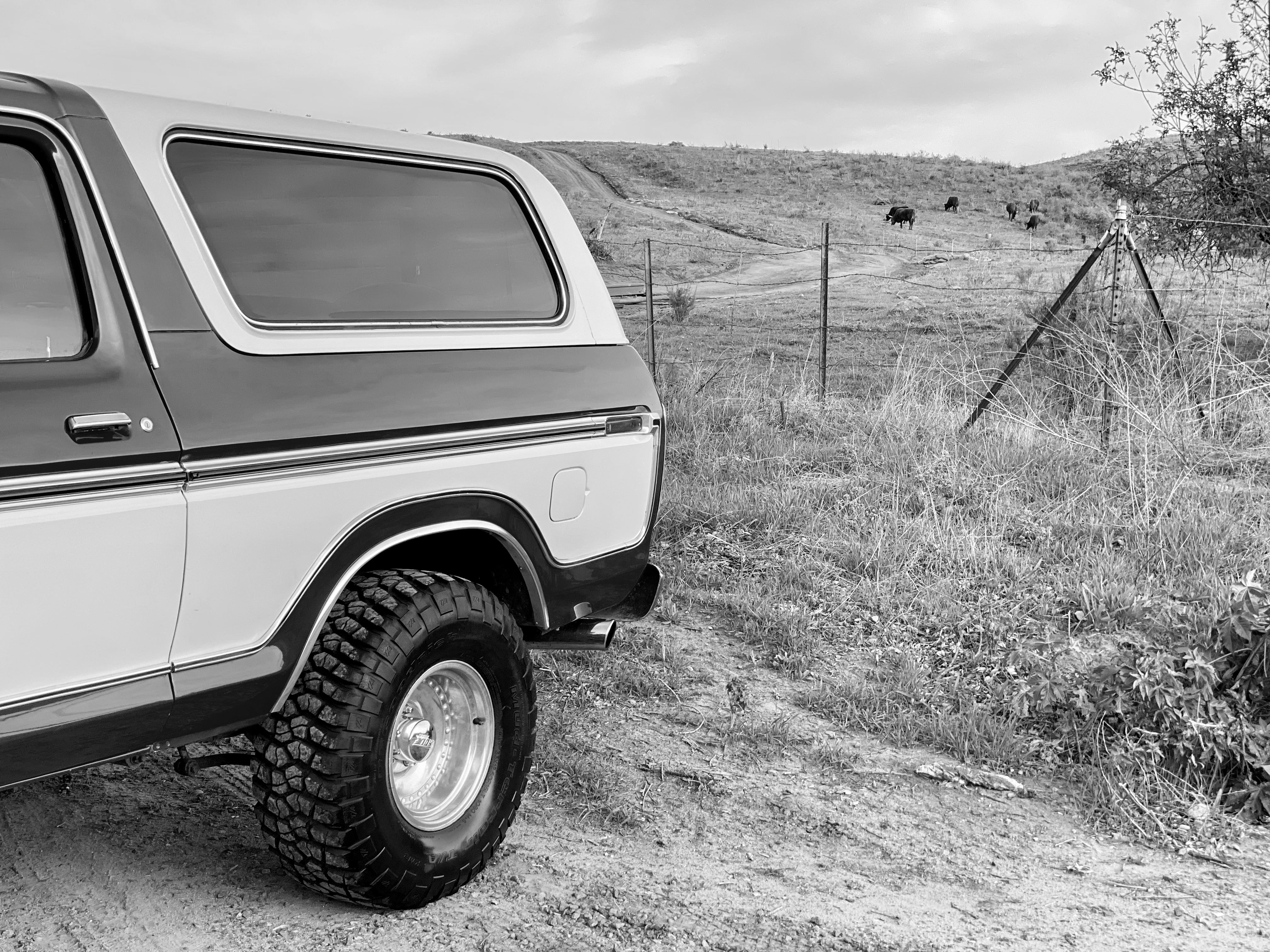 1979 Ford Bronco FINE ART PRINT