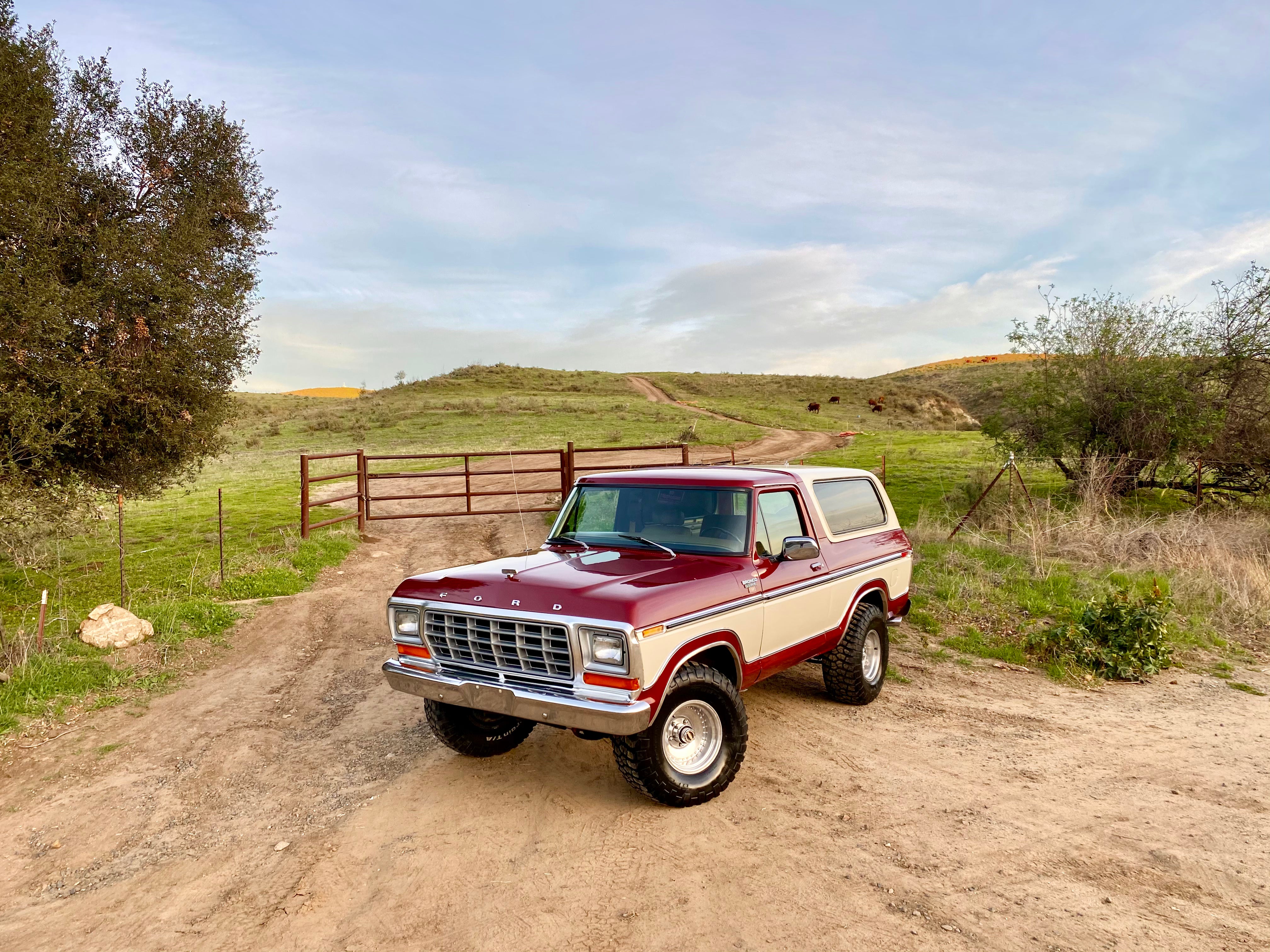 1979 Ford Bronco FINE ART PRINT