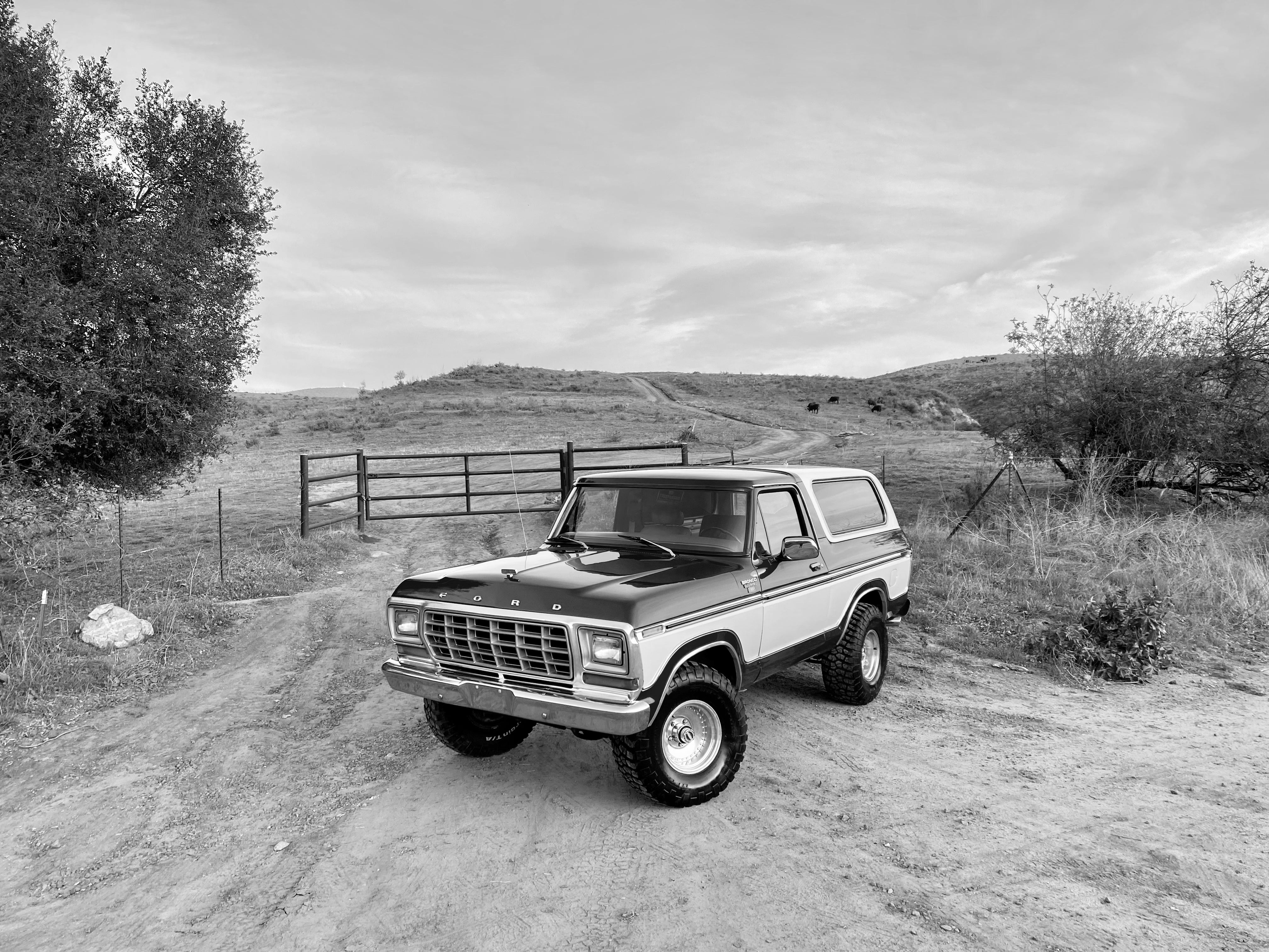 1979 Ford Bronco FINE ART PRINT