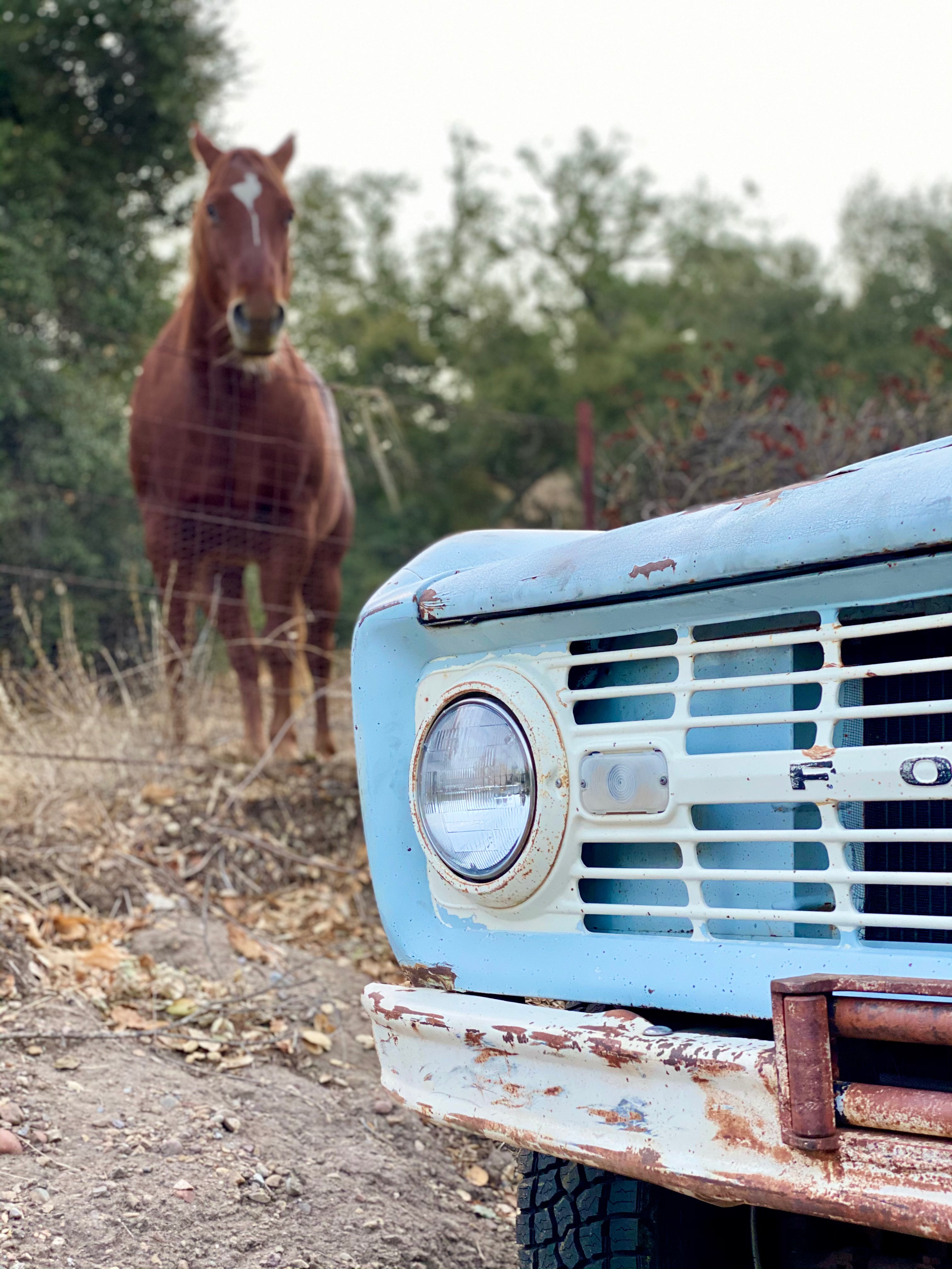 1966 Ford Bronco FINE ART PRINT