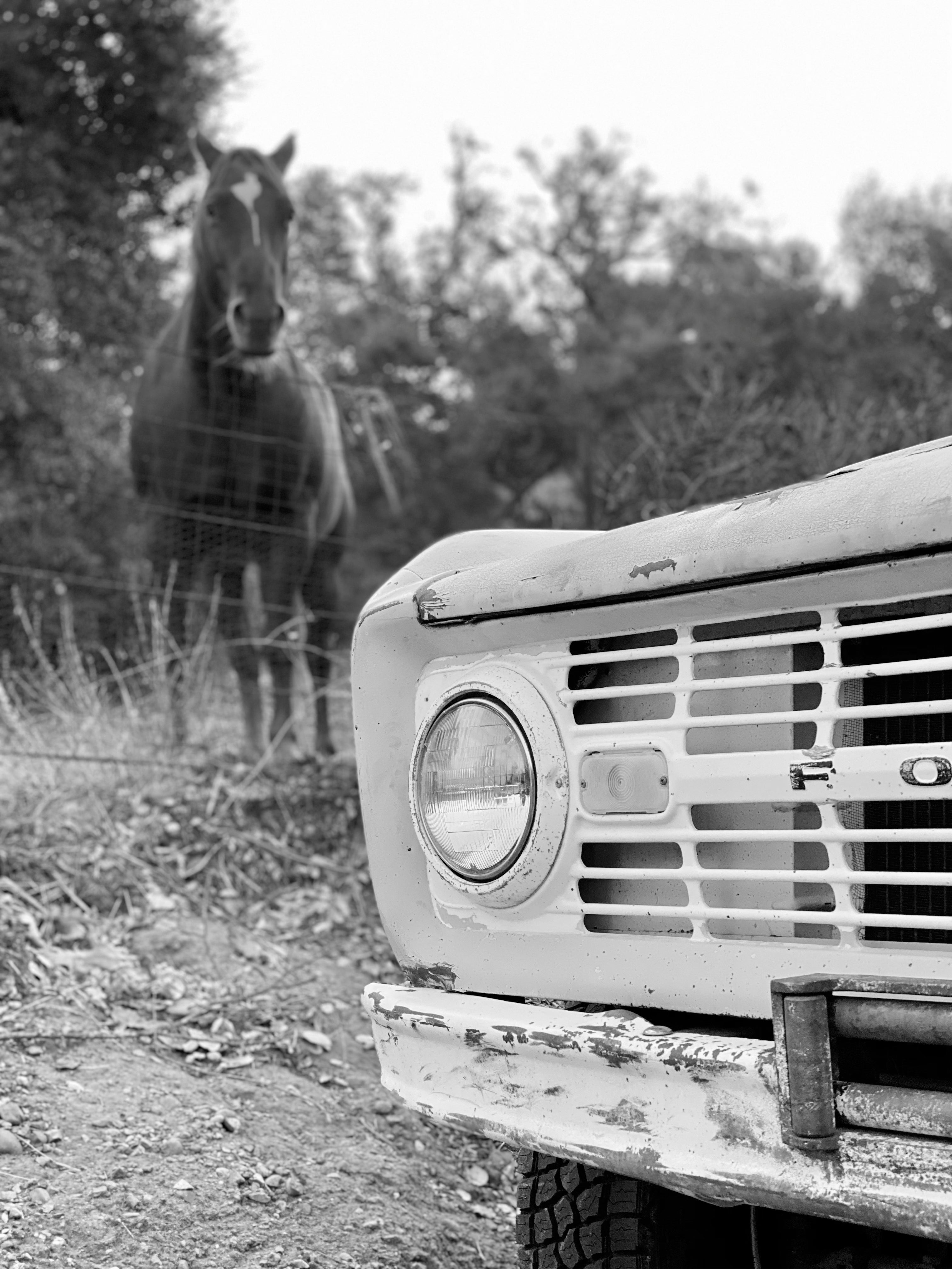 1966 Ford Bronco FINE ART PRINT