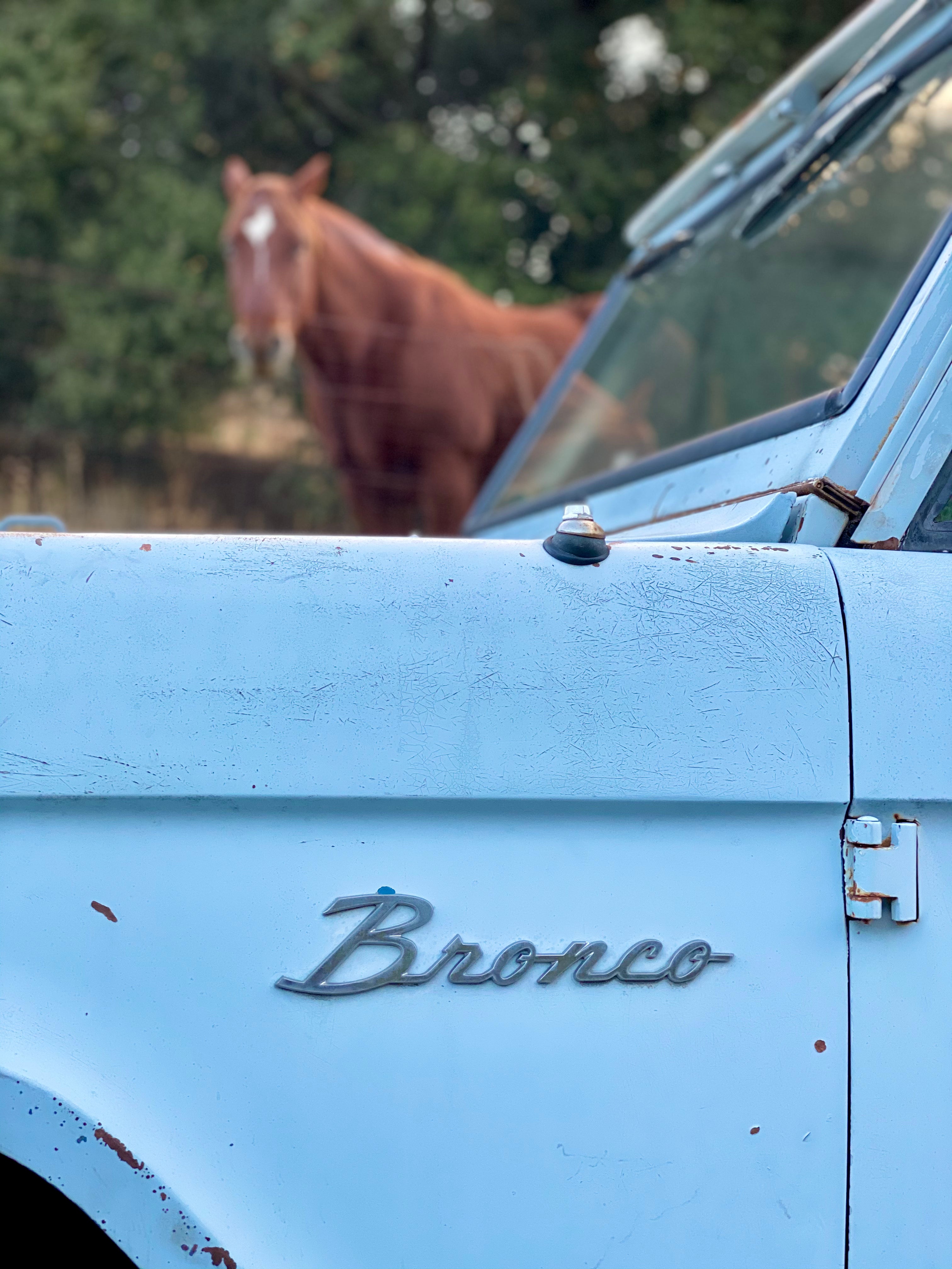 1966 Ford Bronco FINE ART PRINT