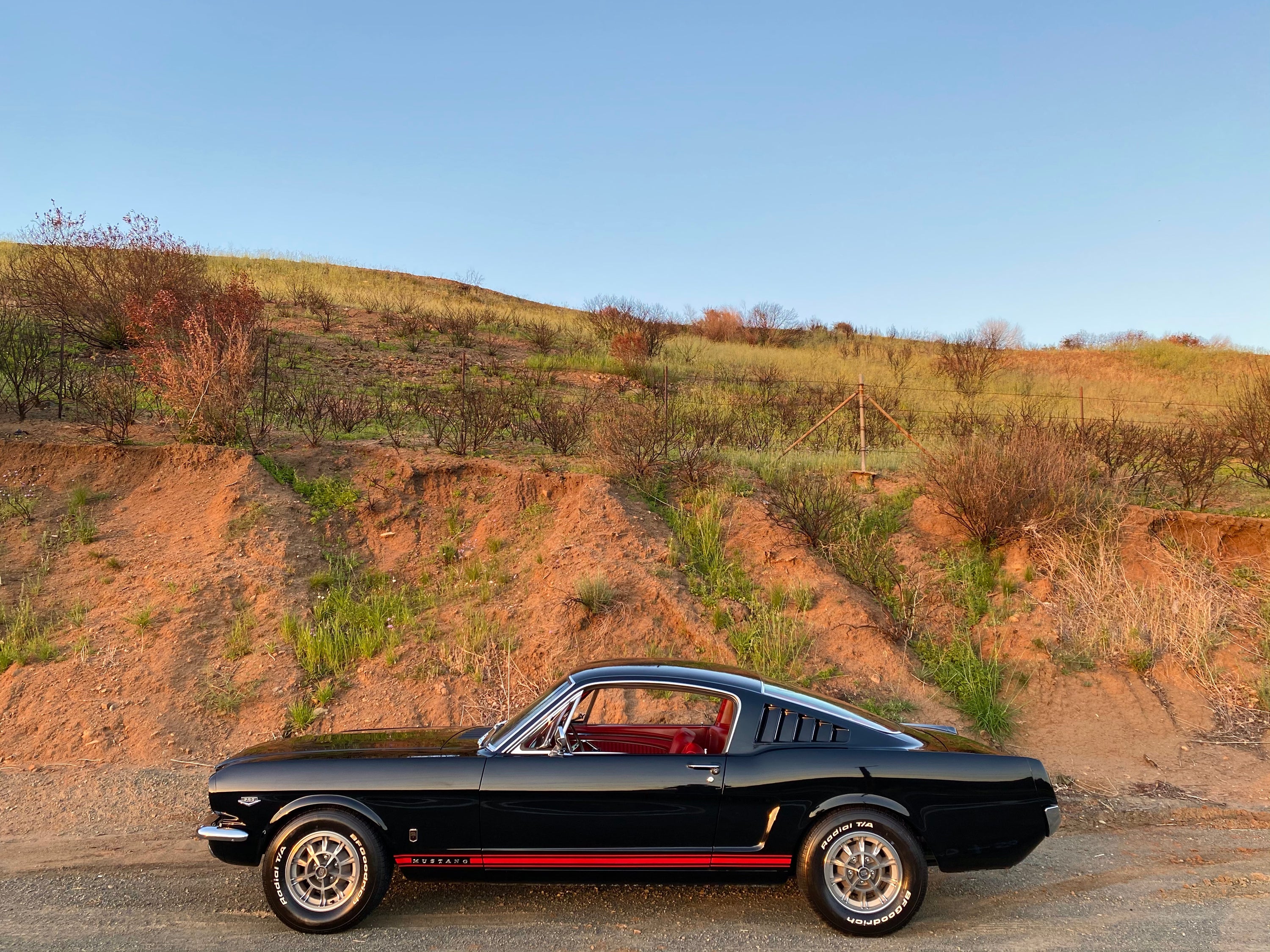 1965 Ford Mustang GT K-Code Fastback FINE ART PRINT