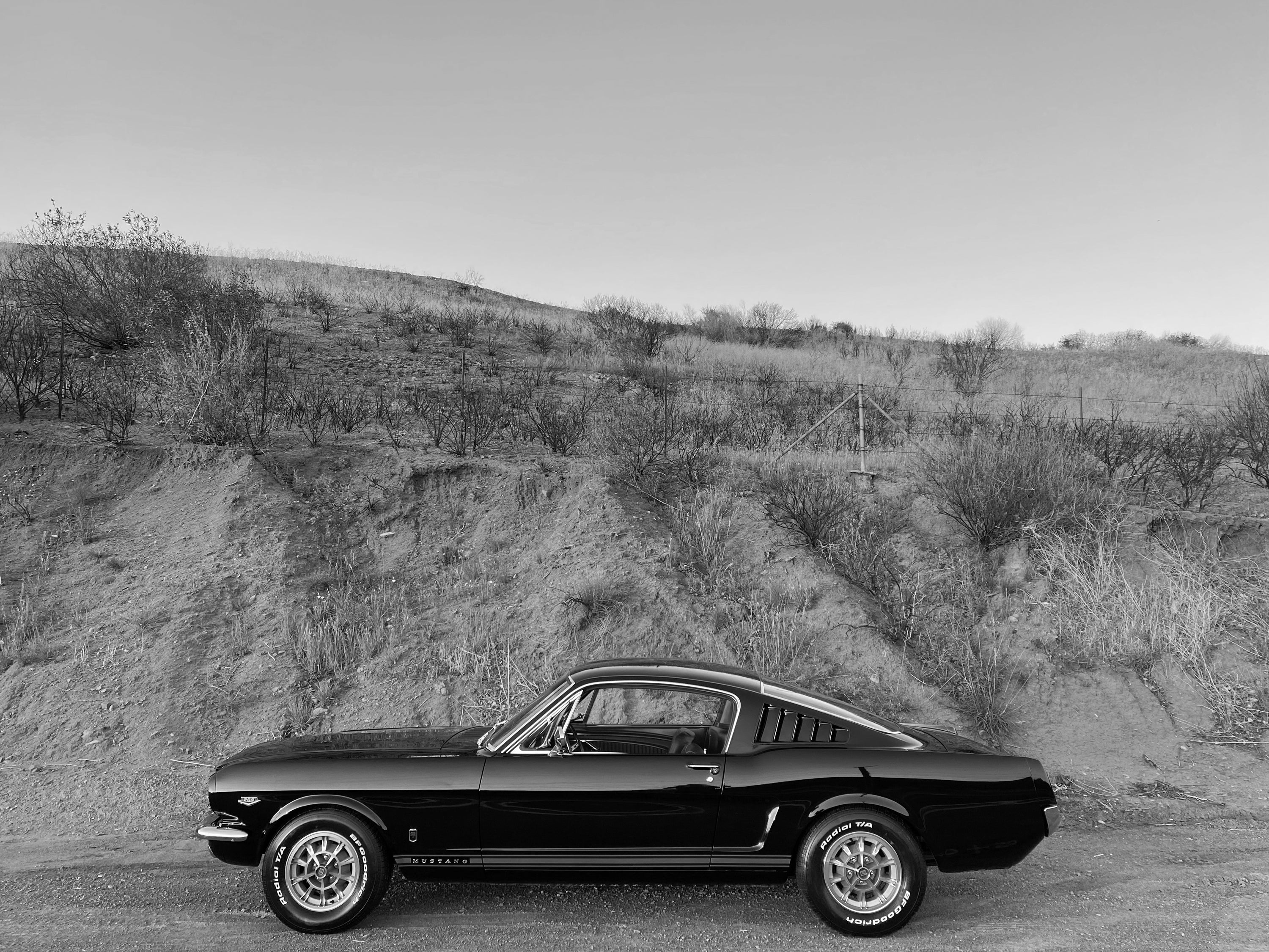 1965 Ford Mustang GT K-Code Fastback FINE ART PRINT