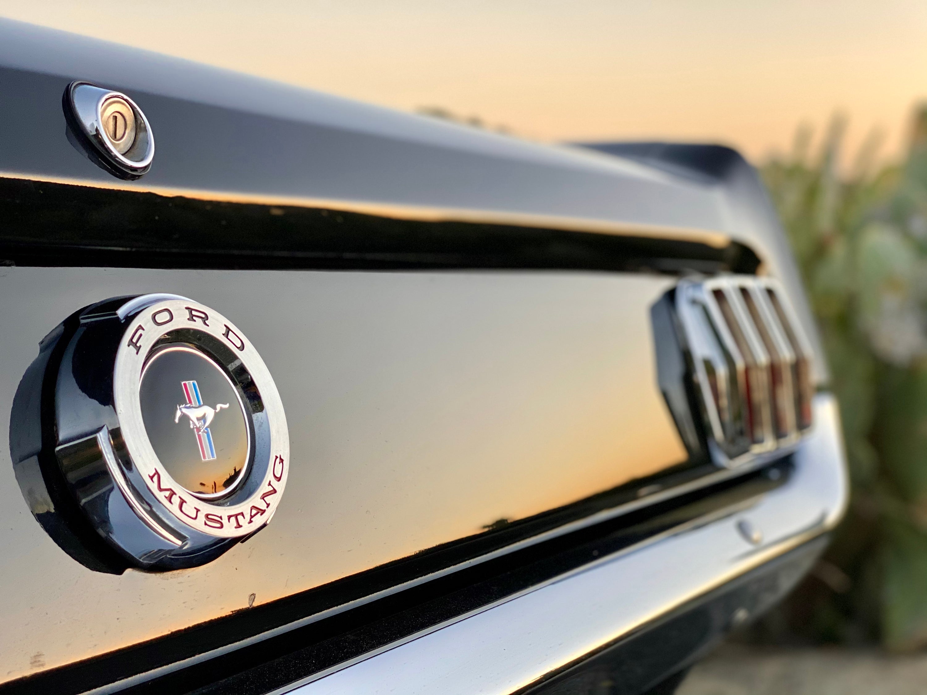 1965 Ford Mustang GT K-Code Fastback FINE ART PRINT