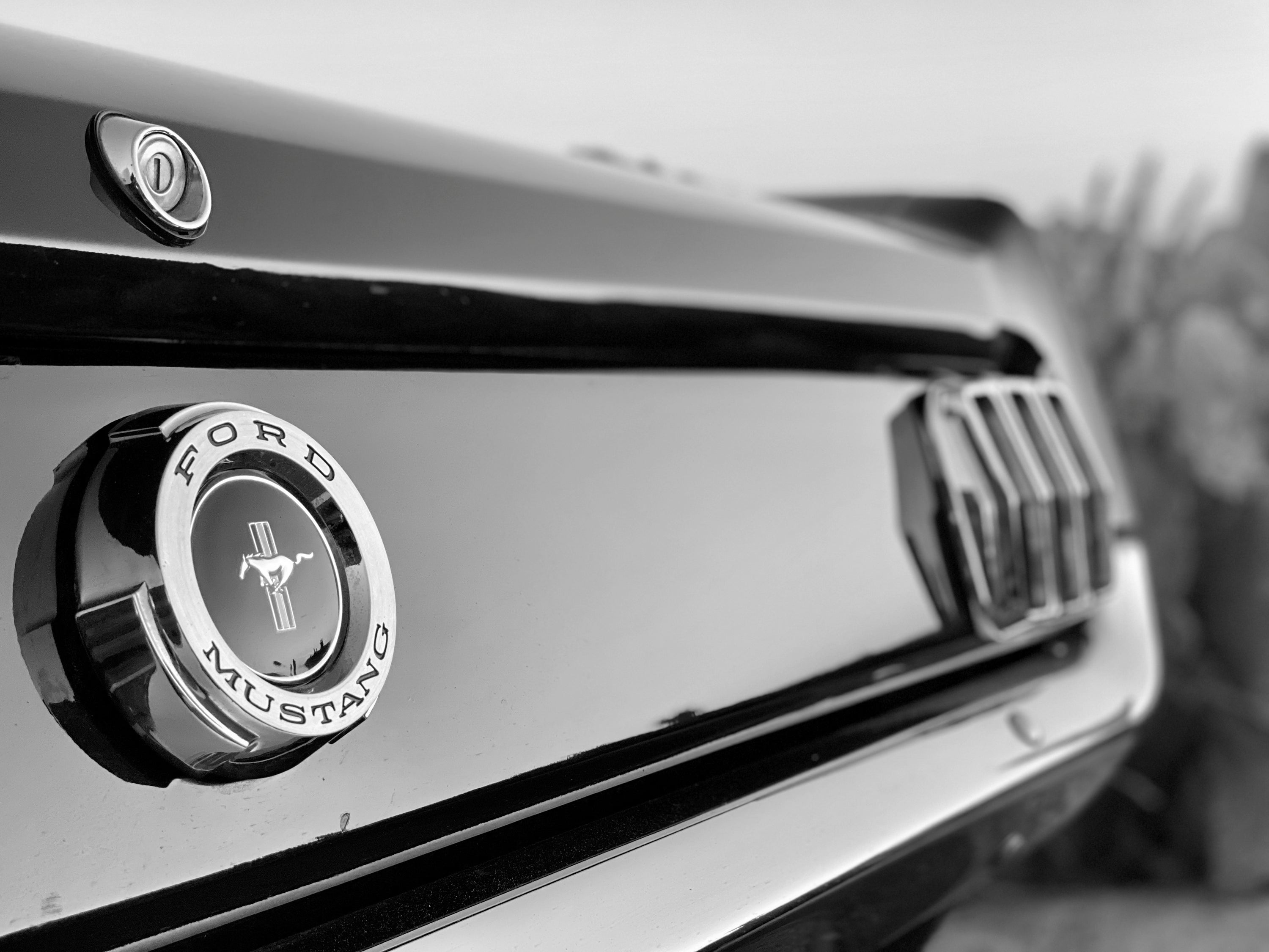 1965 Ford Mustang GT K-Code Fastback FINE ART PRINT