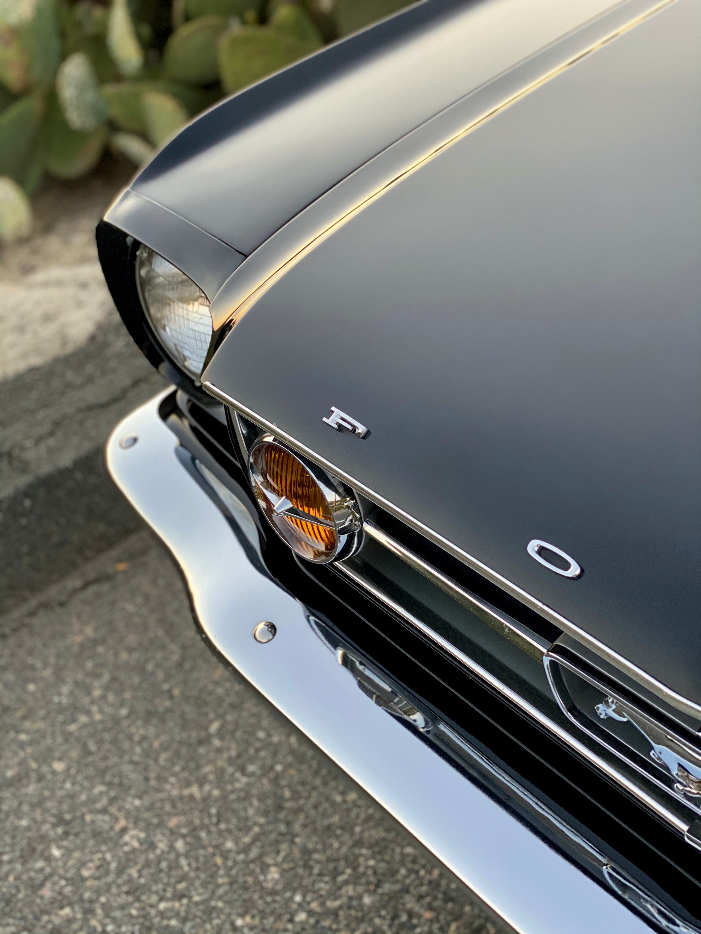 1965 Ford Mustang GT K-Code Fastback FINE ART PRINT