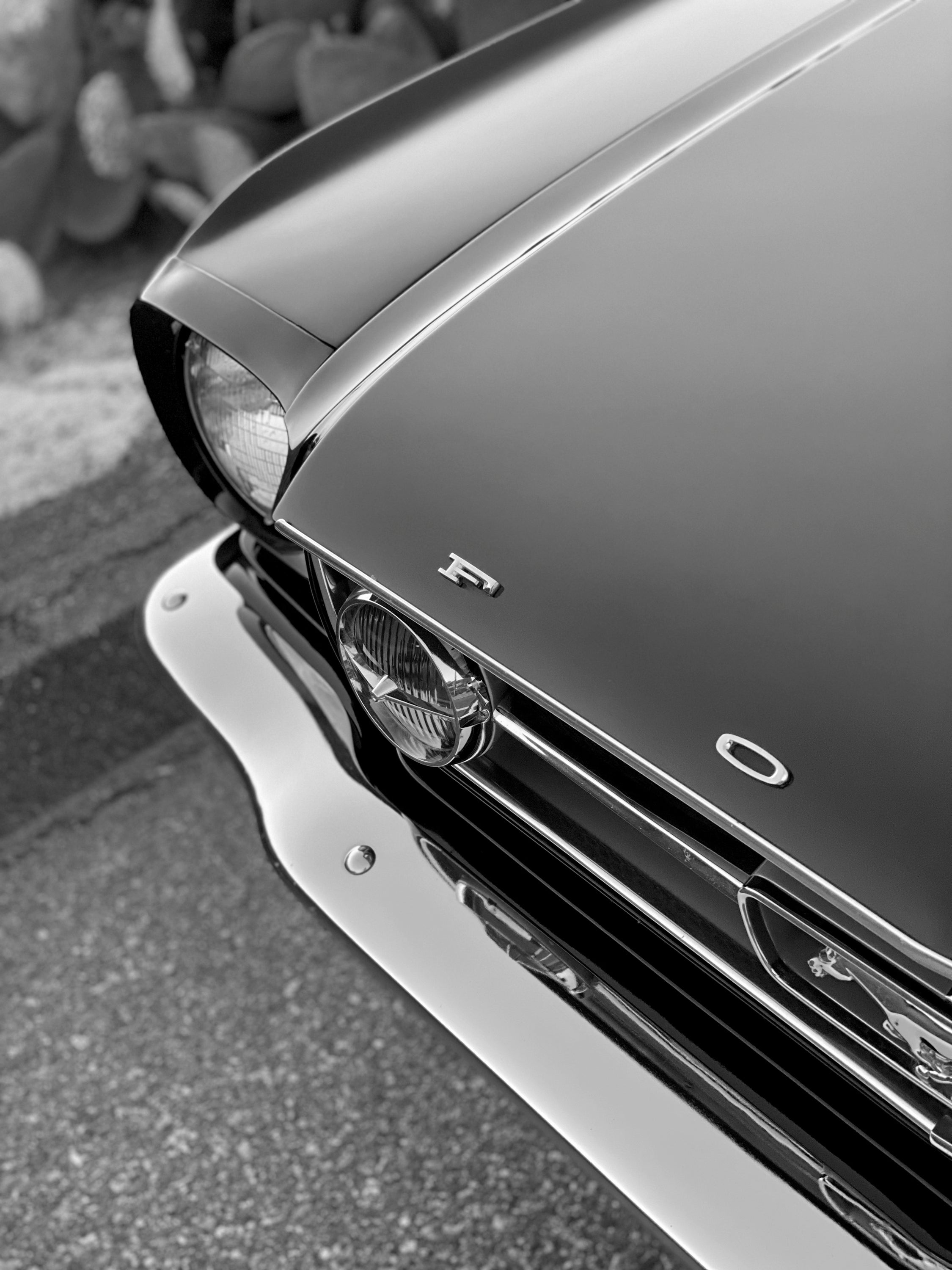 1965 Ford Mustang GT K-Code Fastback FINE ART PRINT