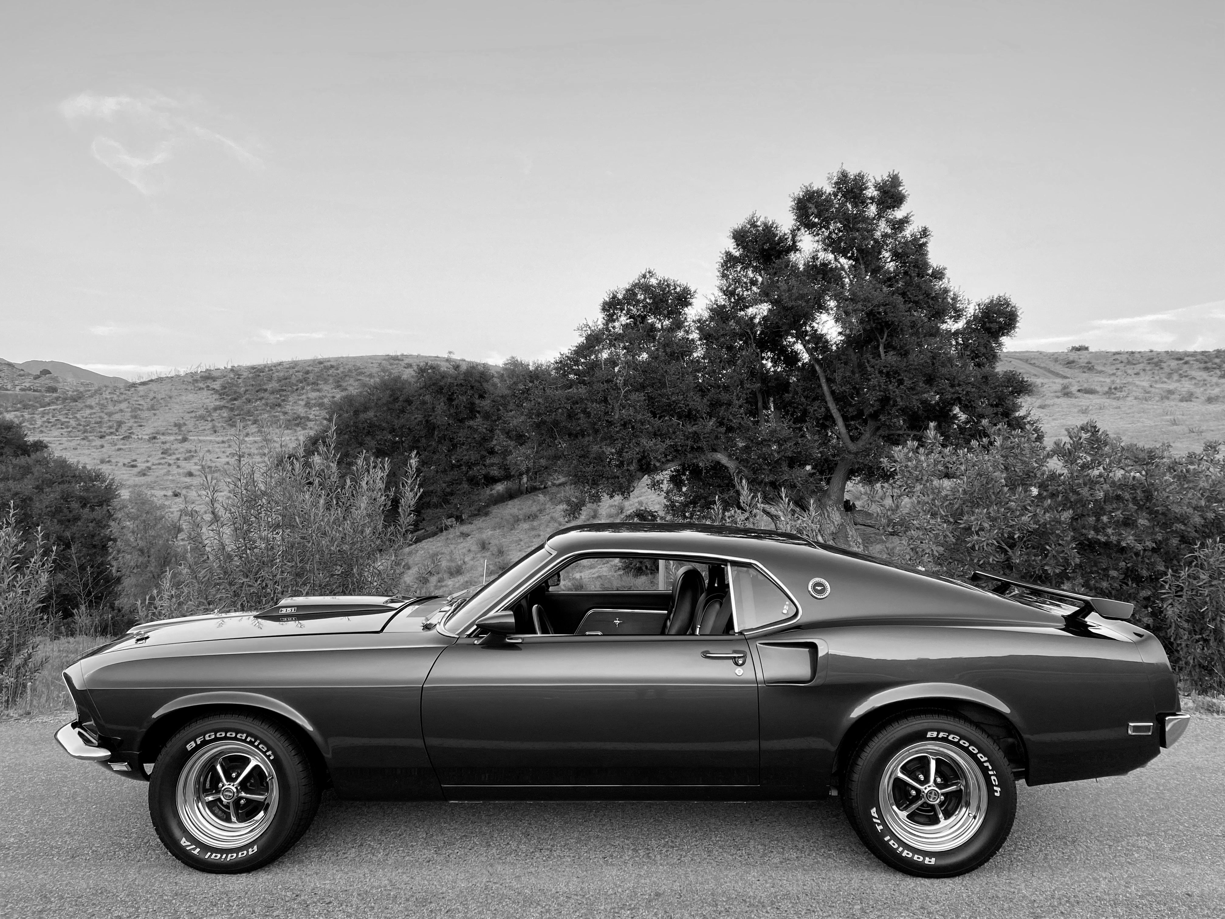 1969 Ford Mustang Mach 1 FINE ART PRINT