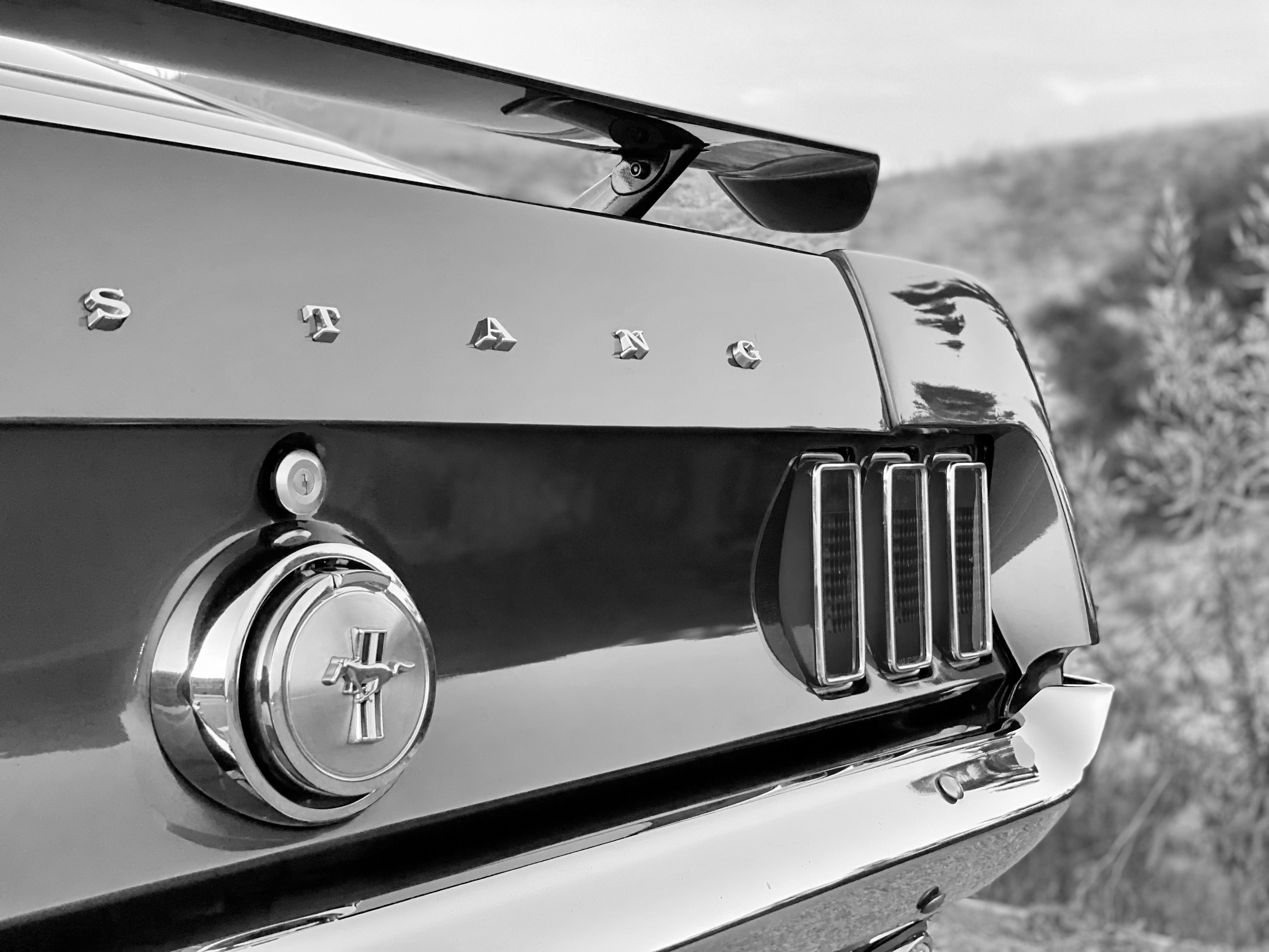 1969 Ford Mustang Mach 1 FINE ART PRINT