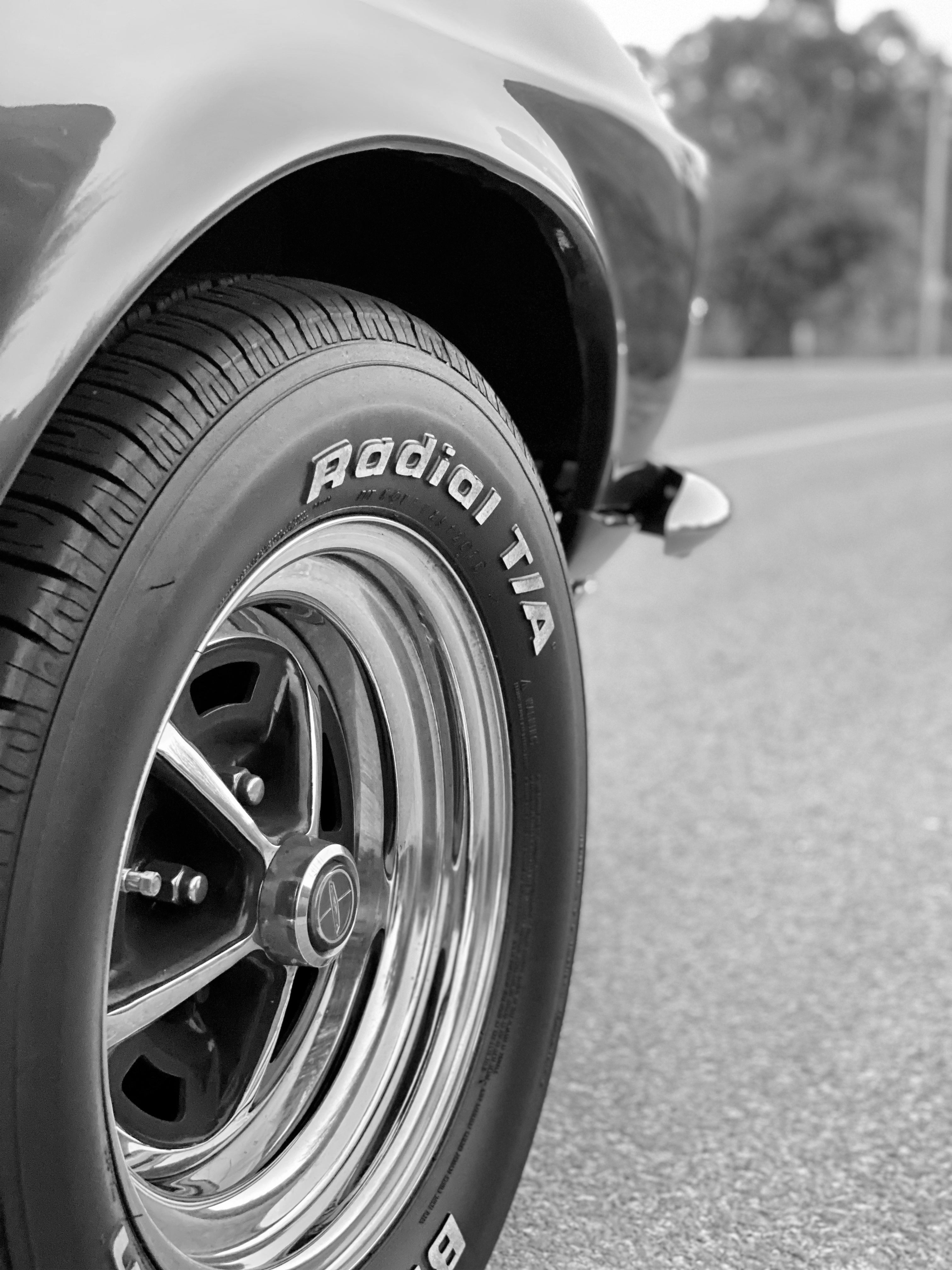 1969 Ford Mustang Mach 1 FINE ART PRINT