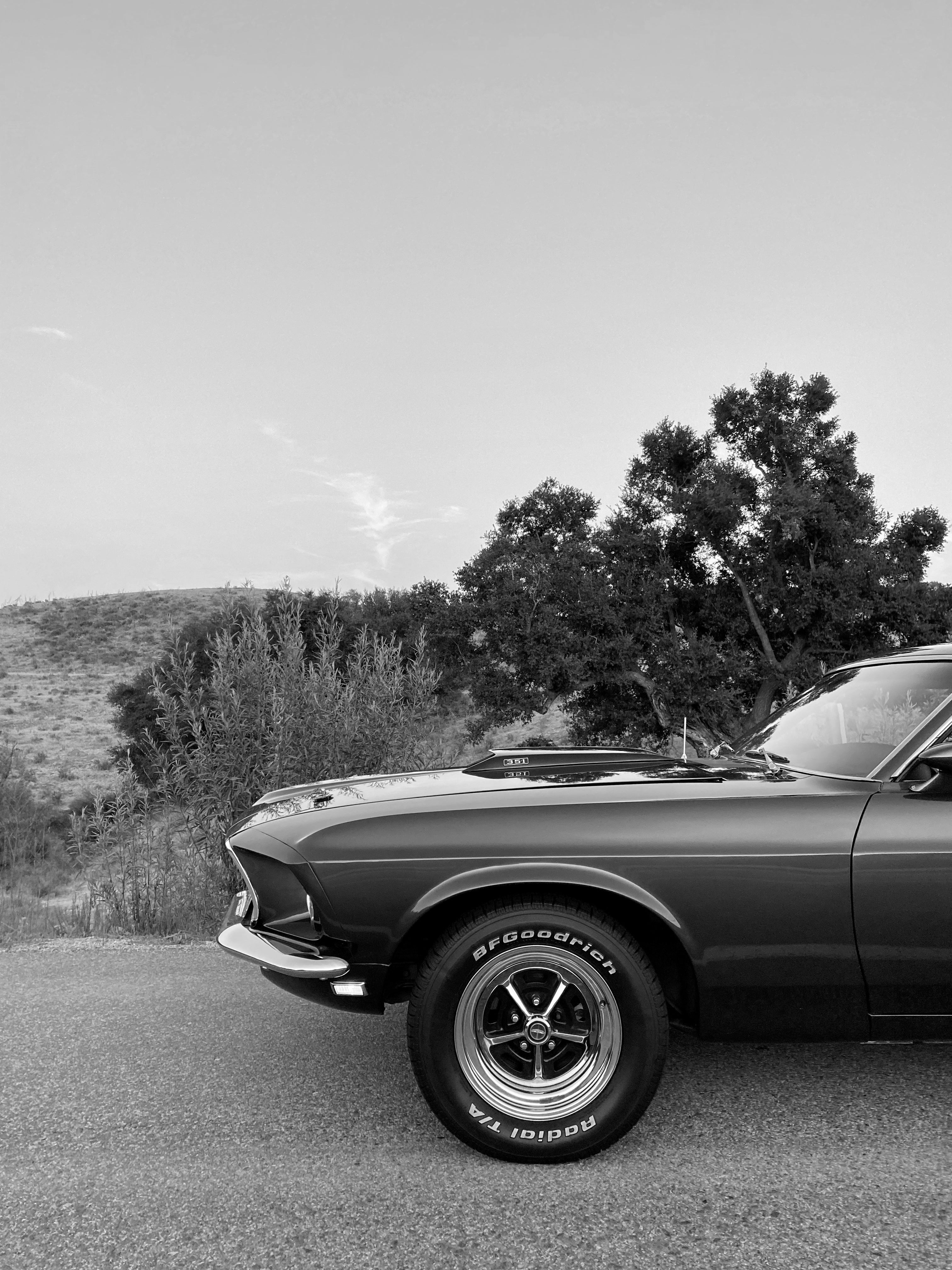1969 Ford Mustang Mach 1 FINE ART PRINT
