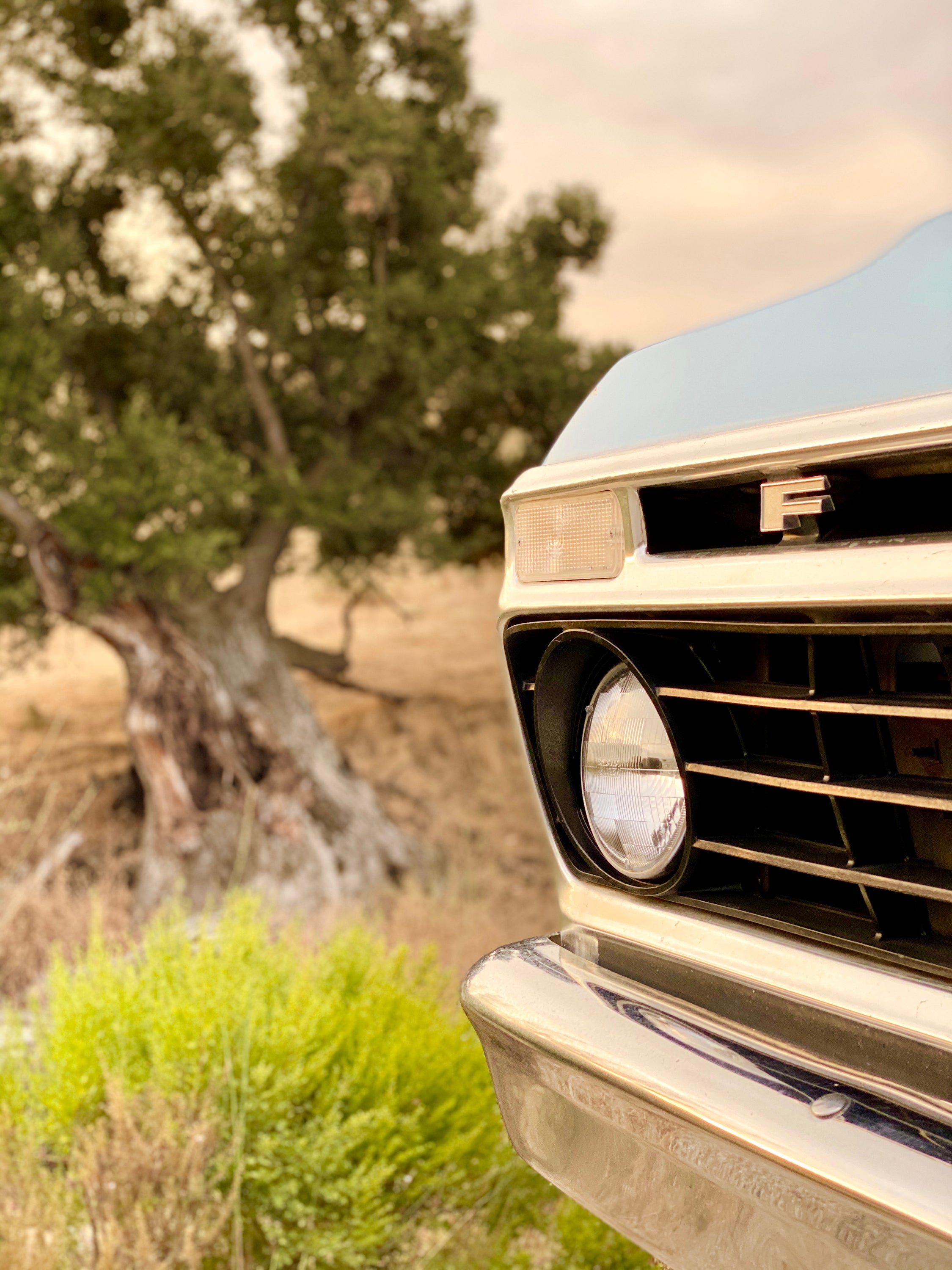 1975 Ford F-250 Highboy Wind Blue FINE ART PRINT