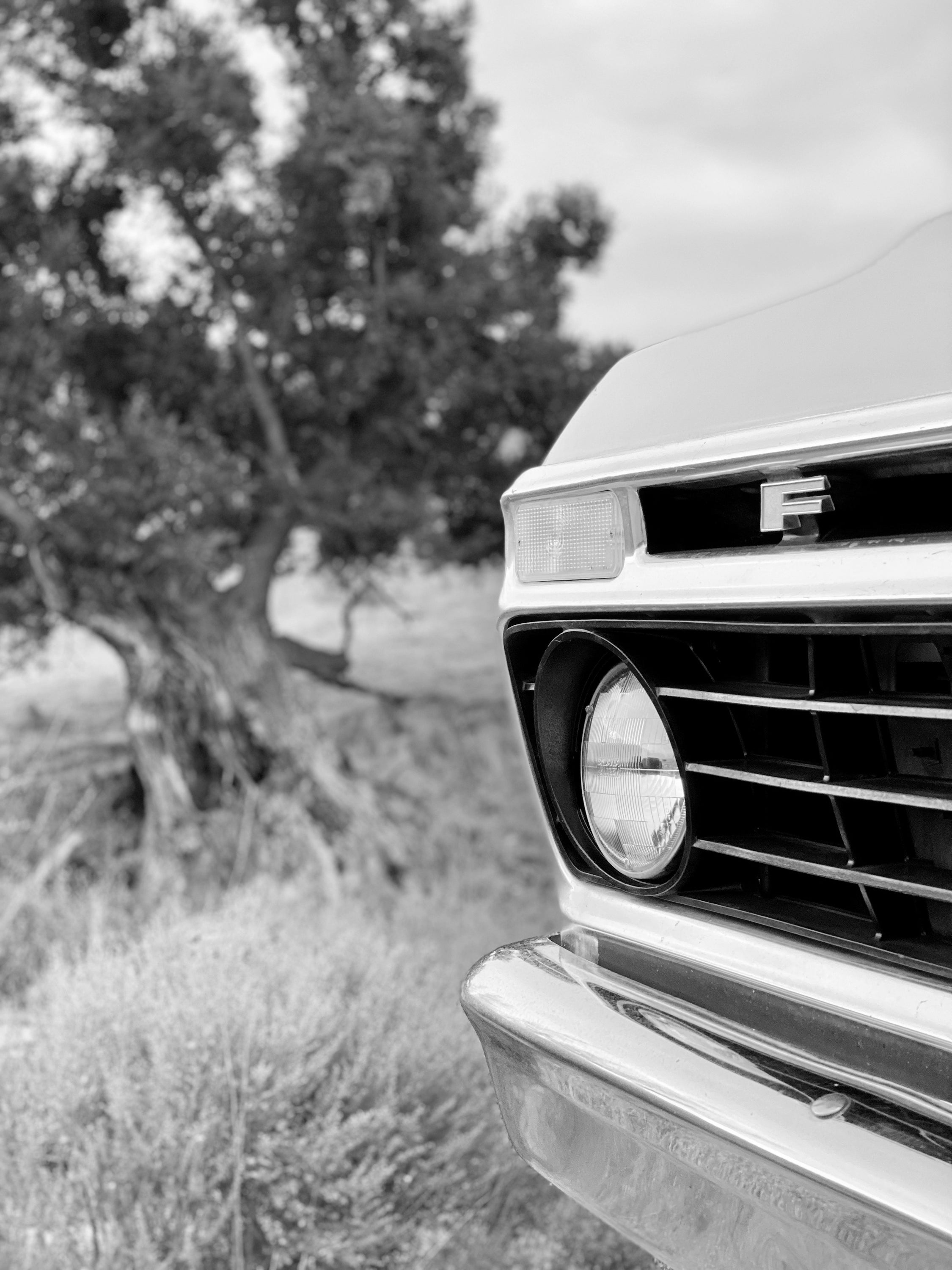 1975 Ford F-250 Highboy Wind Blue FINE ART PRINT