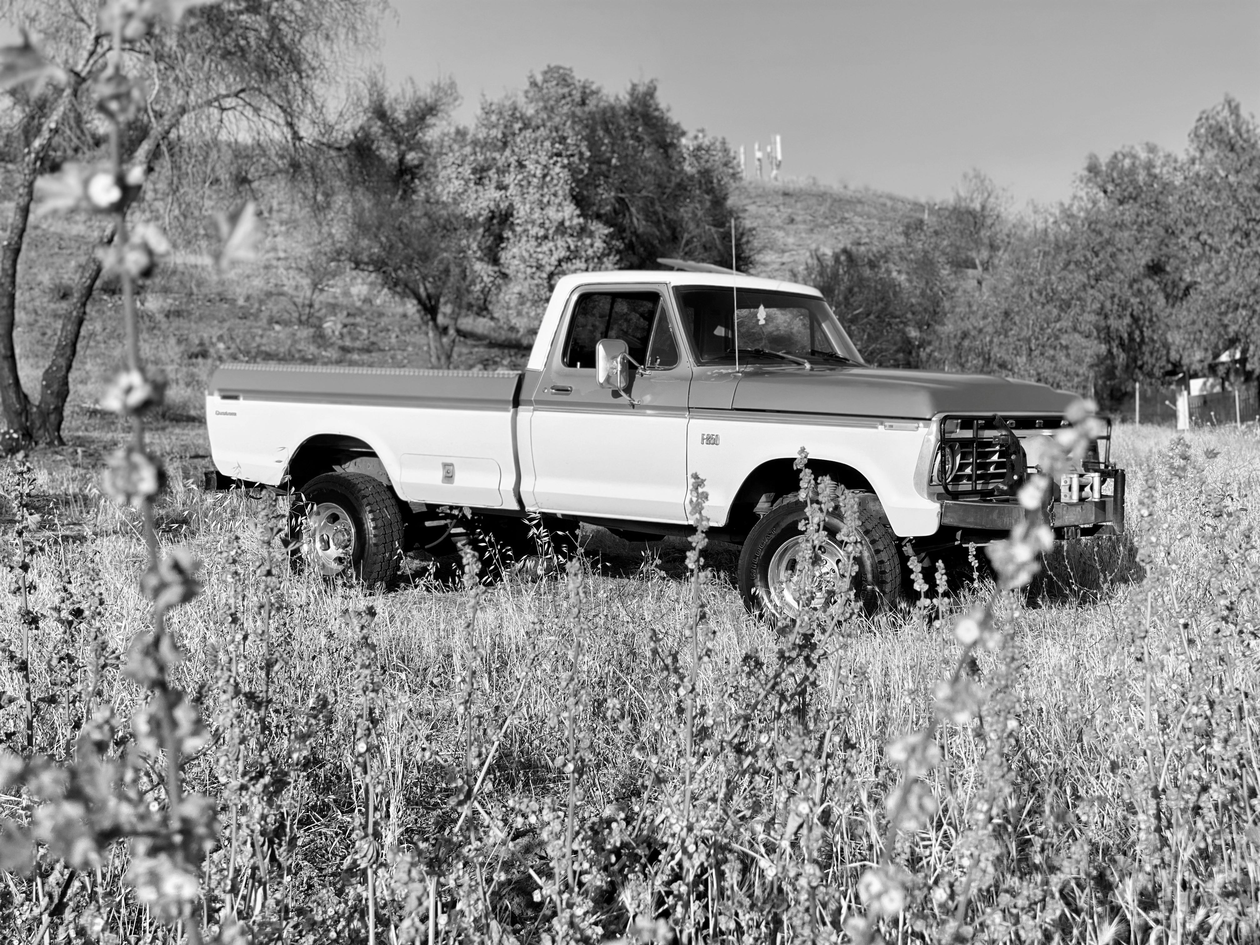 1974 Ford F-250 Highboy Gringo FINE ART PRINT