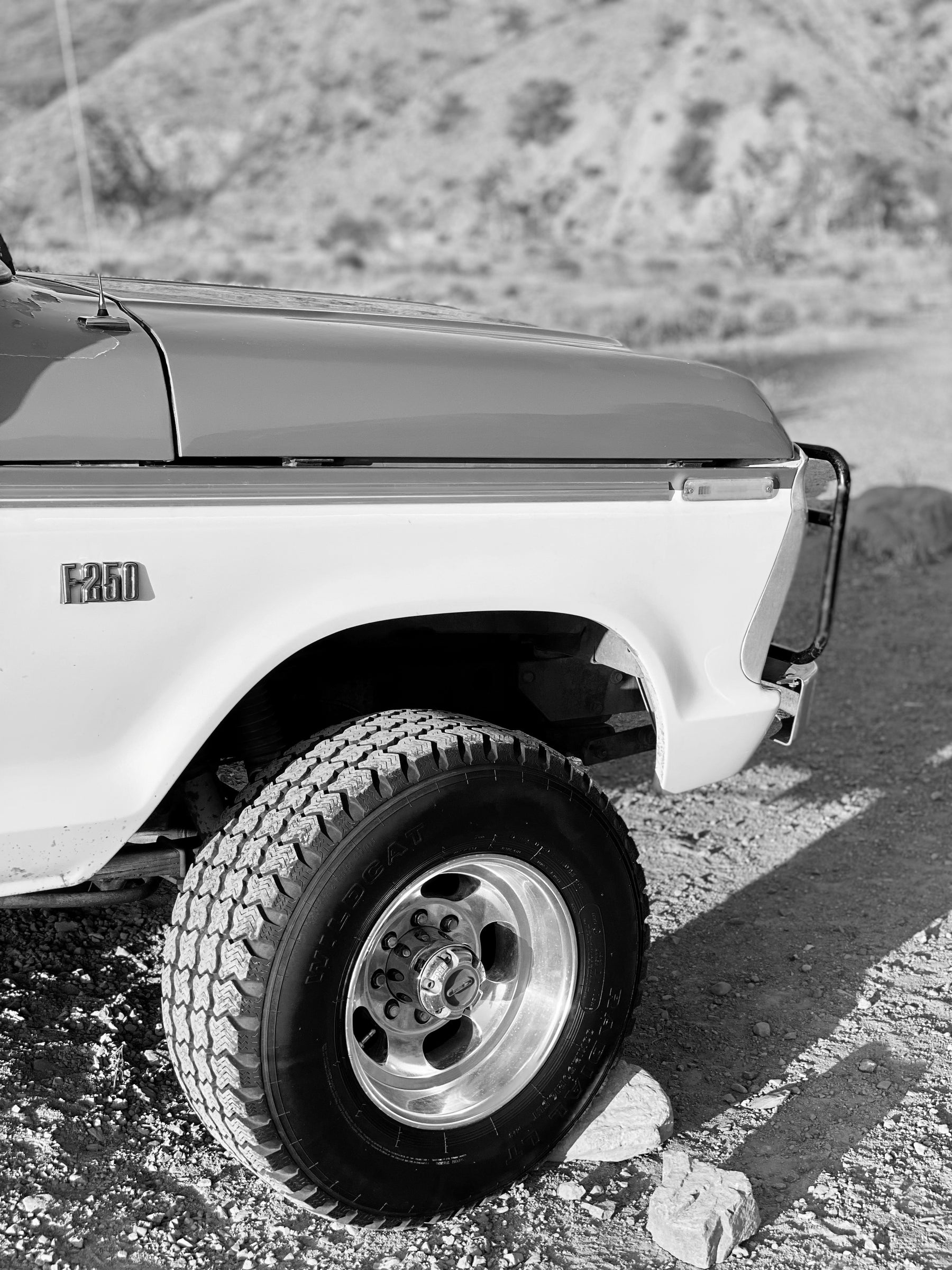 1974 Ford F-250 Highboy Gringo FINE ART PRINT