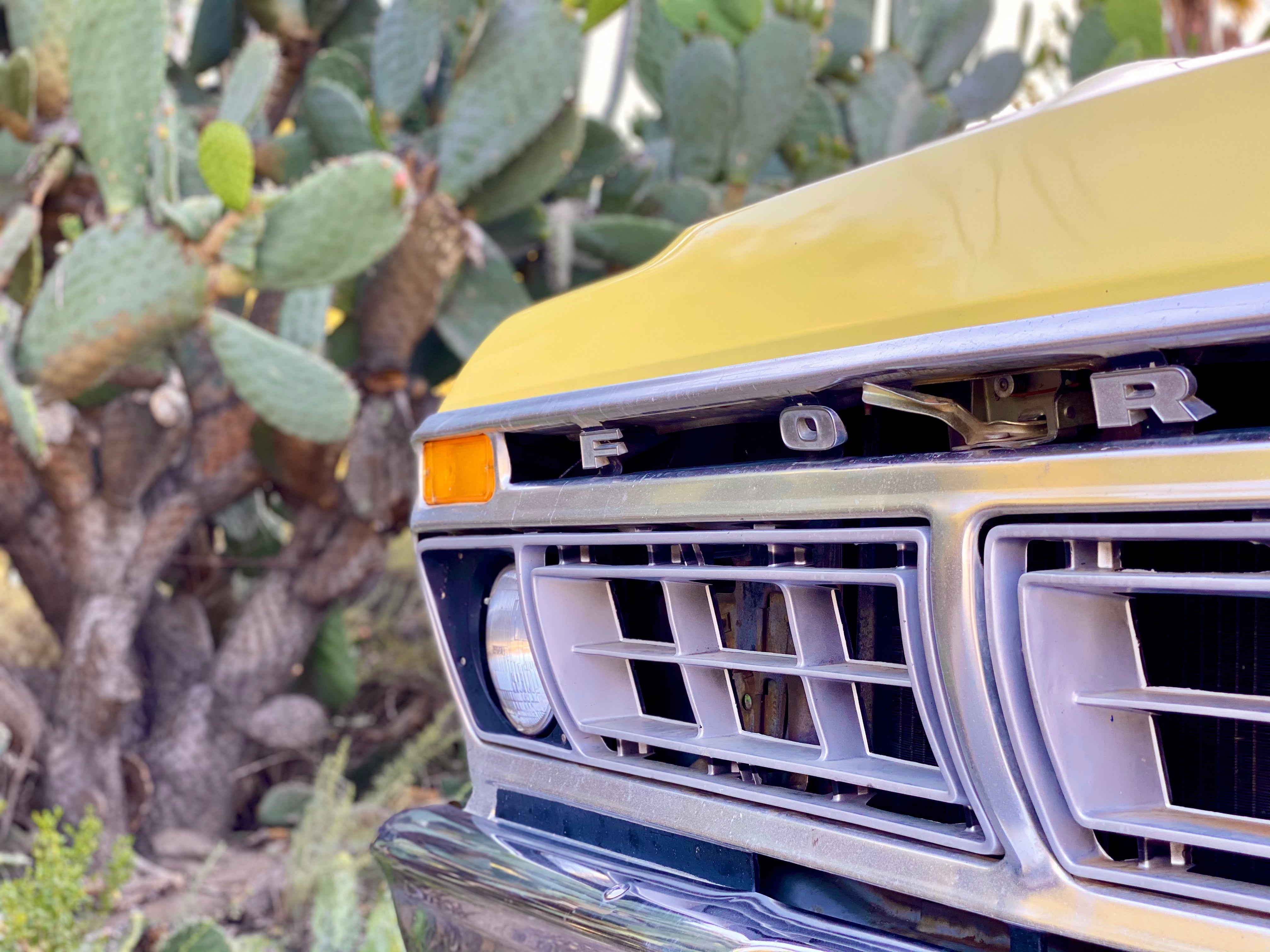 1975 Ford F-250 Highboy Yellow FINE ART PRINT