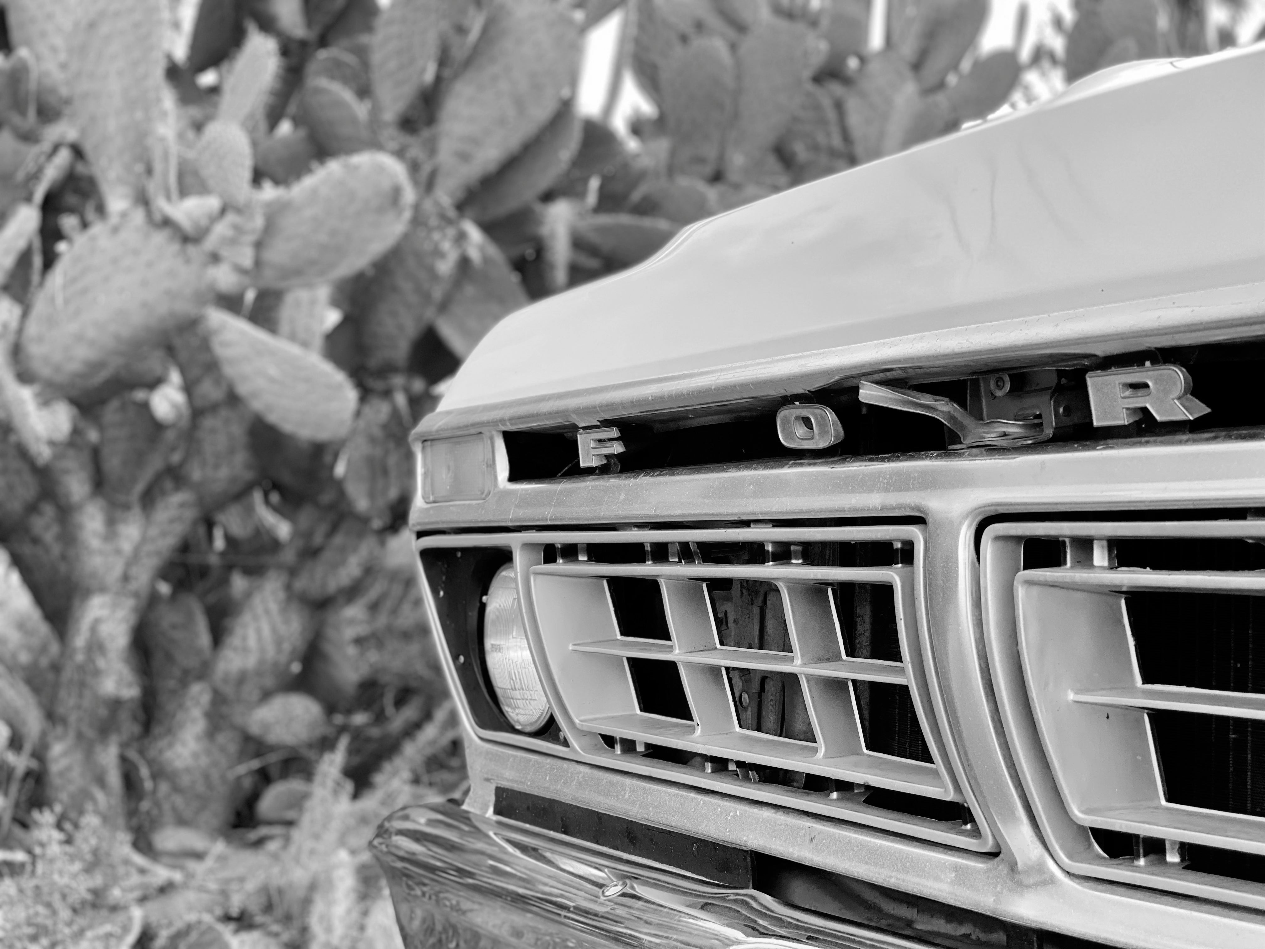 1975 Ford F-250 Highboy Yellow FINE ART PRINT