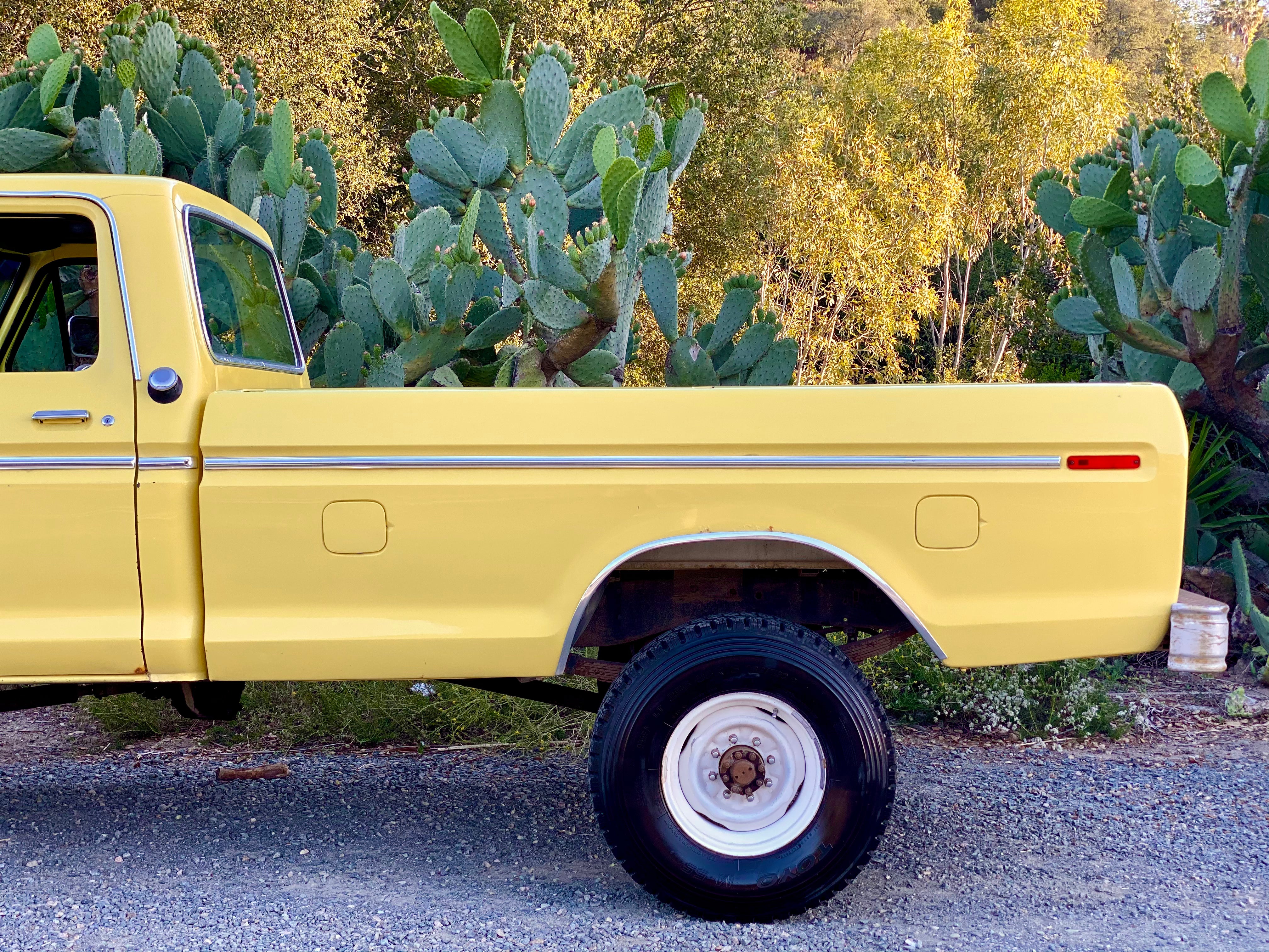 1975 Ford F-250 Highboy Yellow FINE ART PRINT