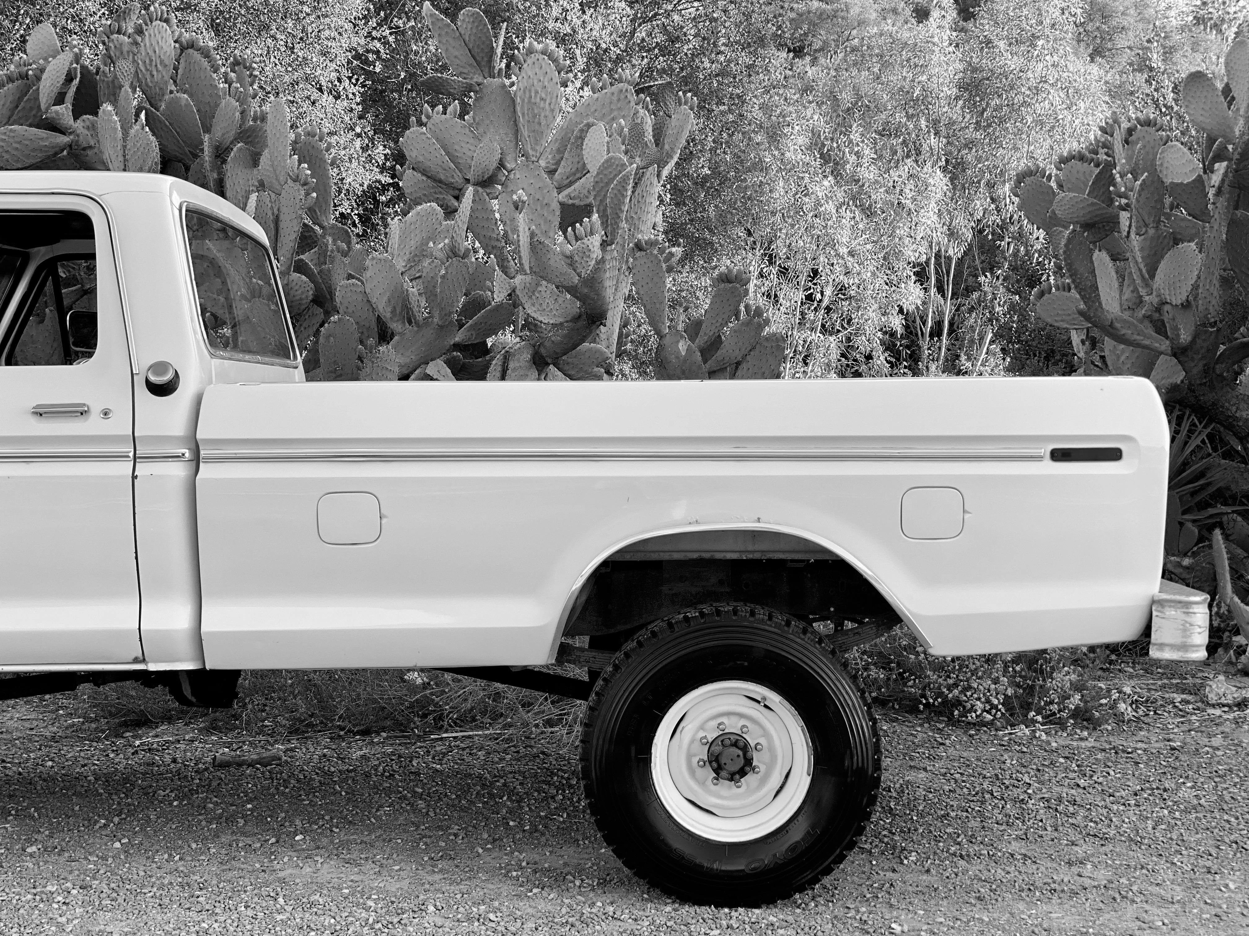 1975 Ford F-250 Highboy Yellow FINE ART PRINT