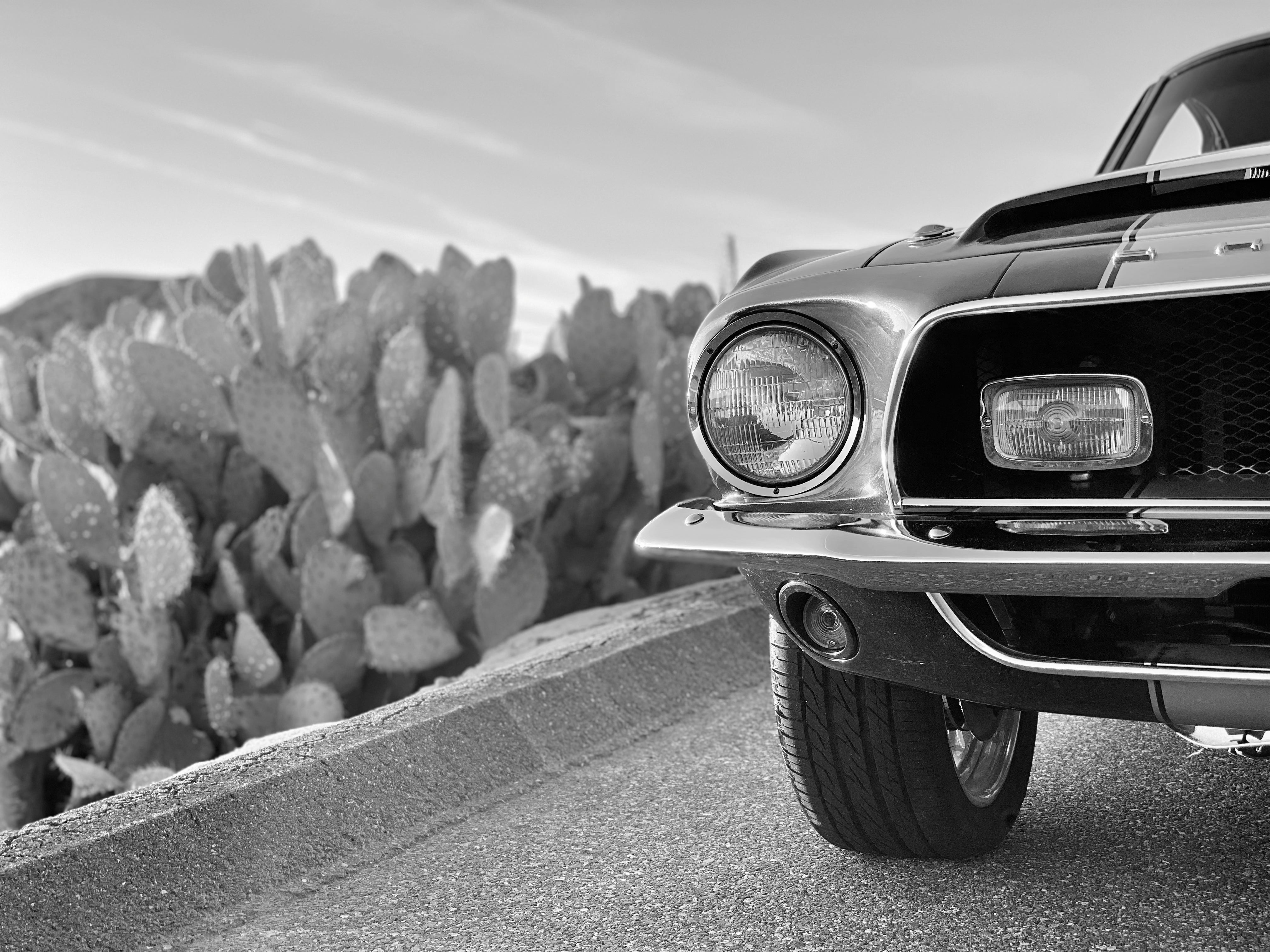 1968 Shelby Mustang GT350H FINE ART PRINT