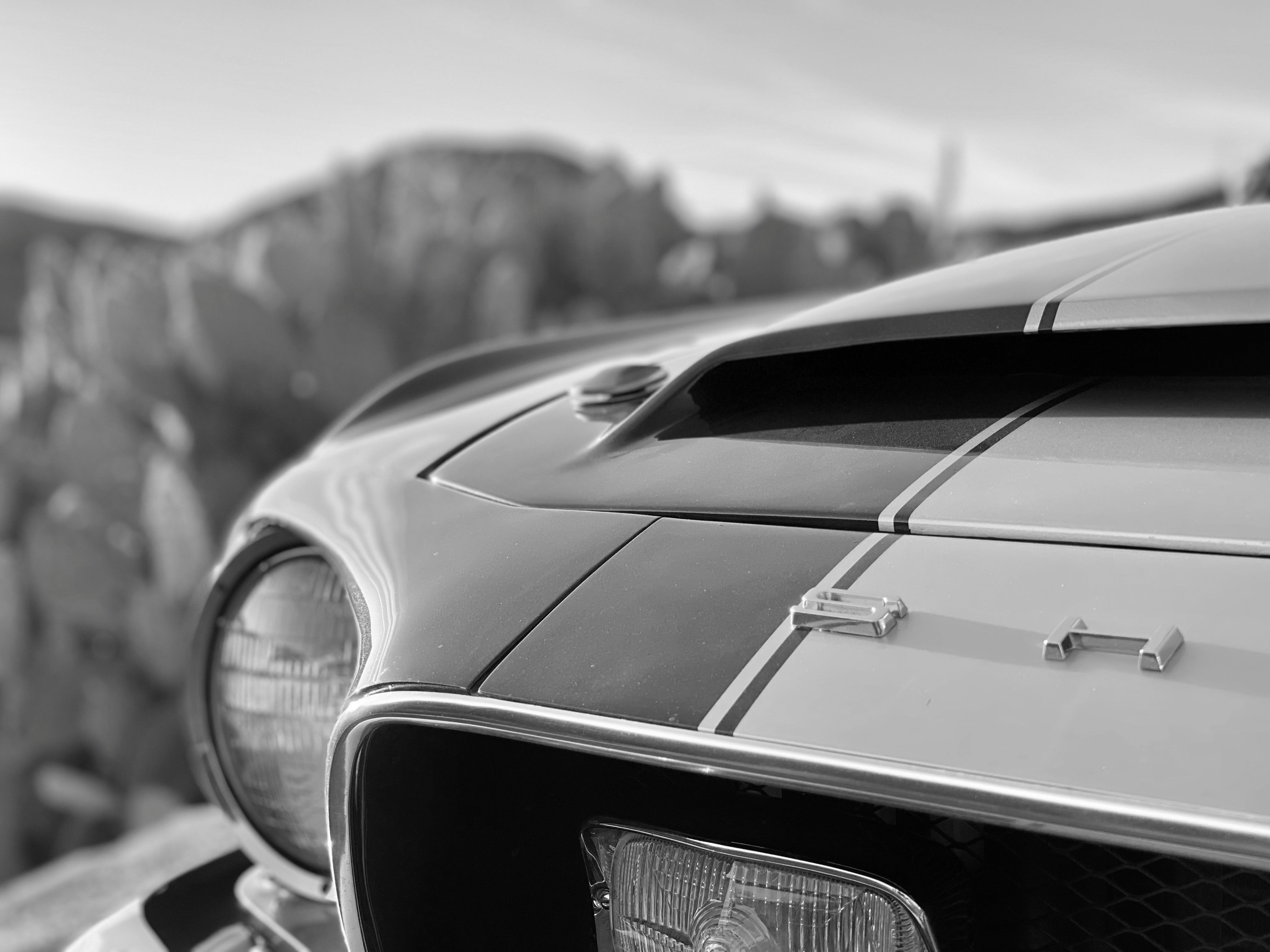 1968 Shelby Mustang GT350H FINE ART PRINT