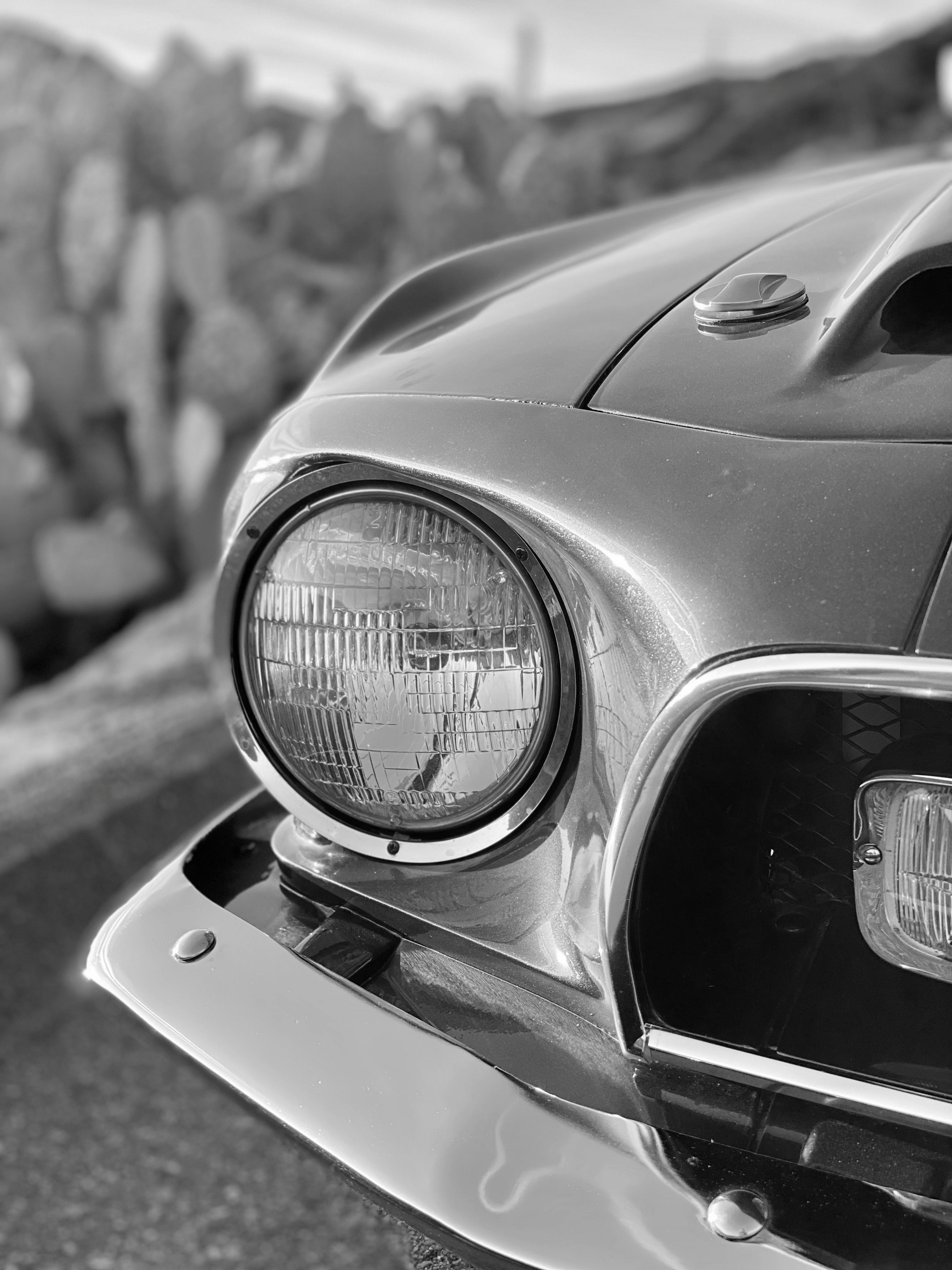 1968 Shelby Mustang GT350H FINE ART PRINT