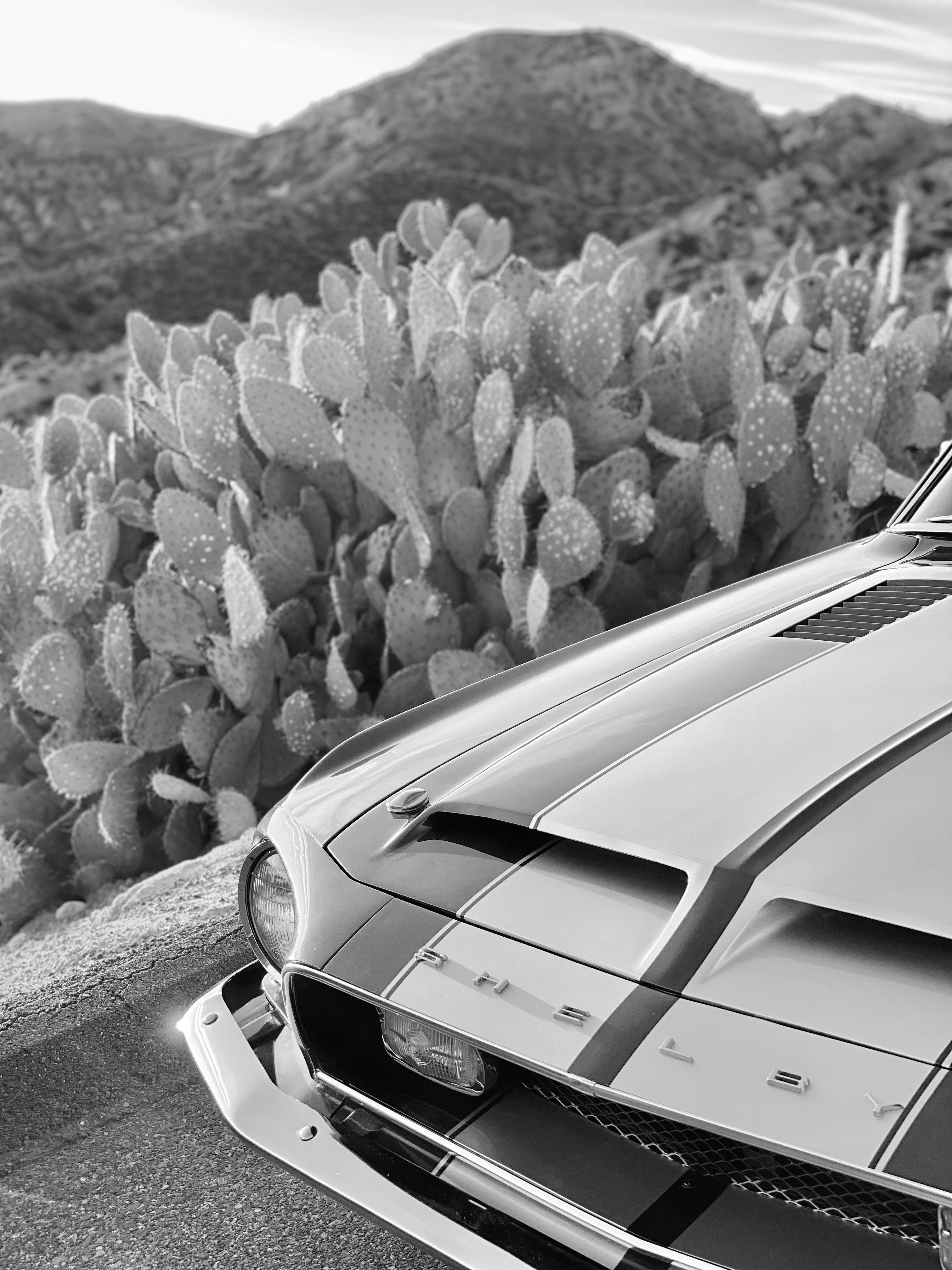 1968 Shelby Mustang GT350H FINE ART PRINT