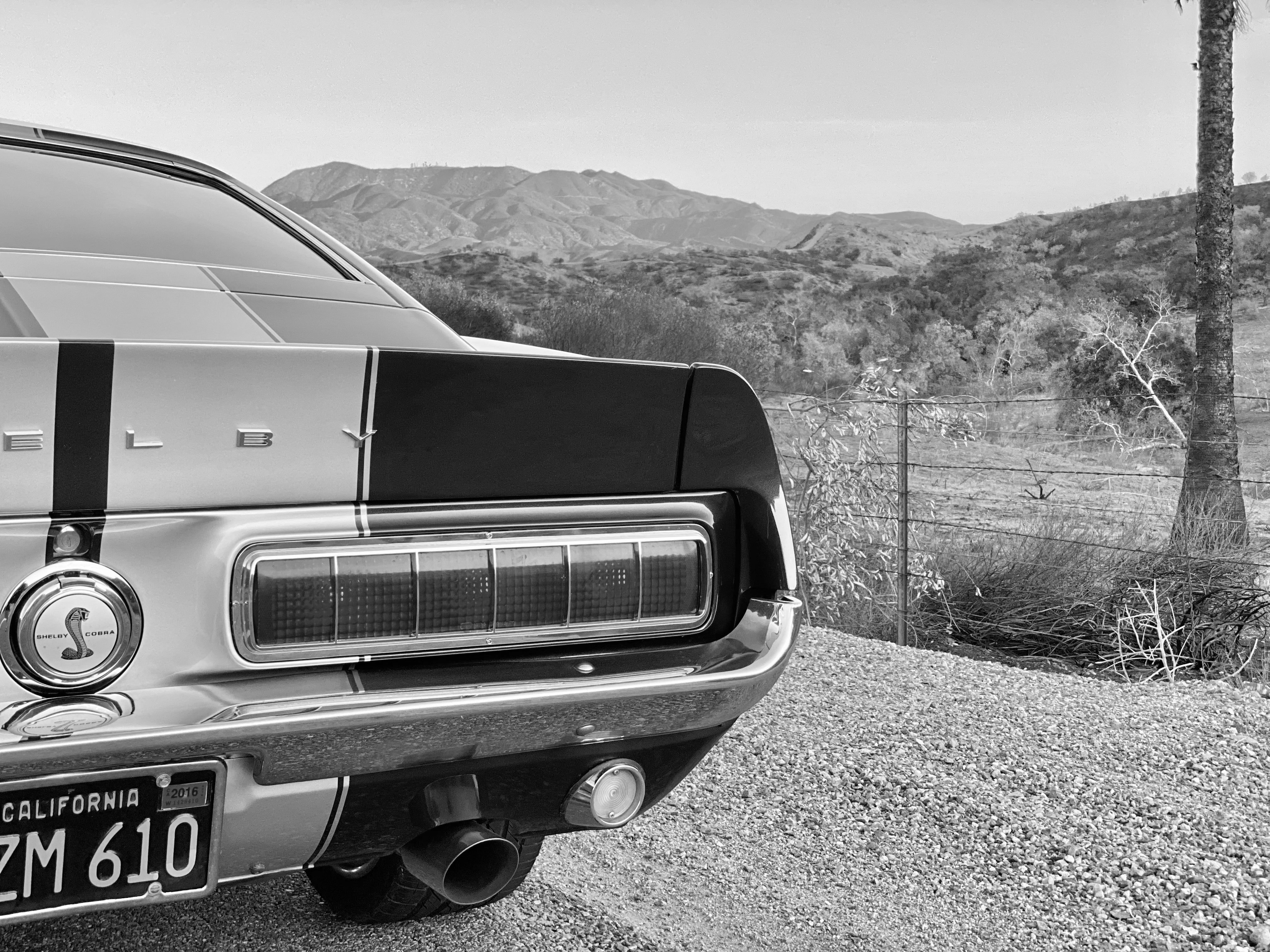 1968 Shelby Mustang GT350H FINE ART PRINT