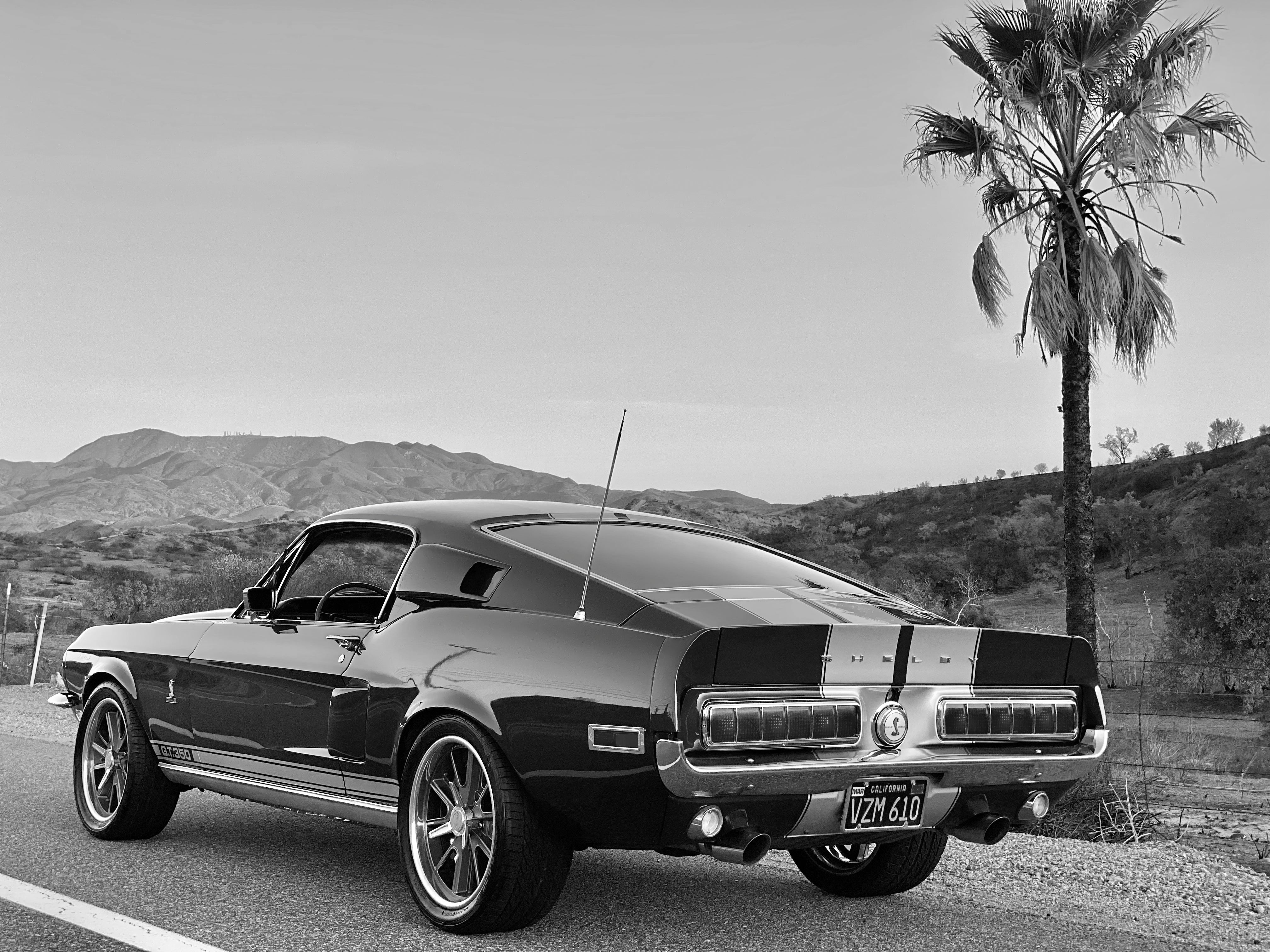 1968 Shelby Mustang GT350H FINE ART PRINT