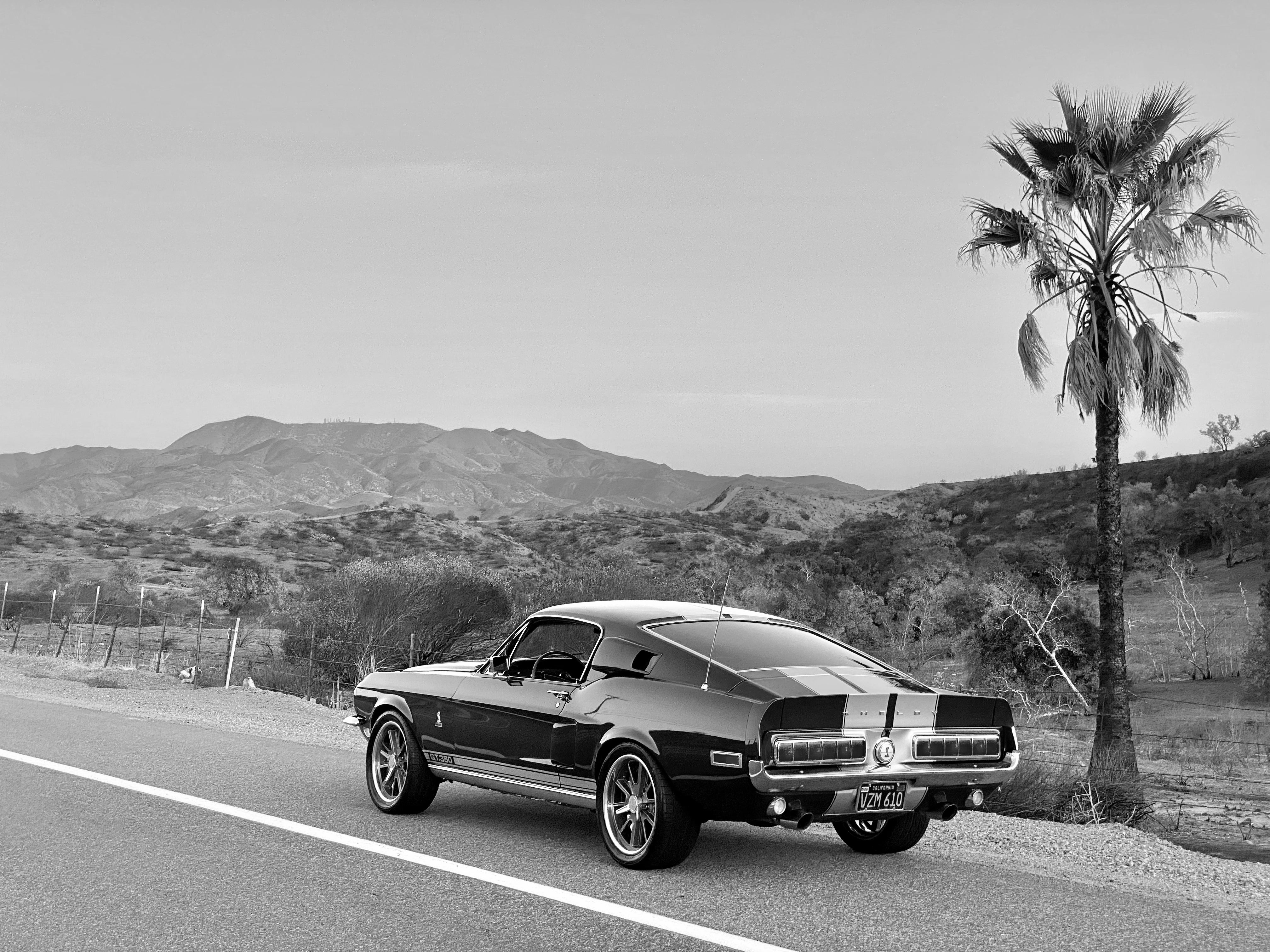 1968 Shelby Mustang GT350H FINE ART PRINT