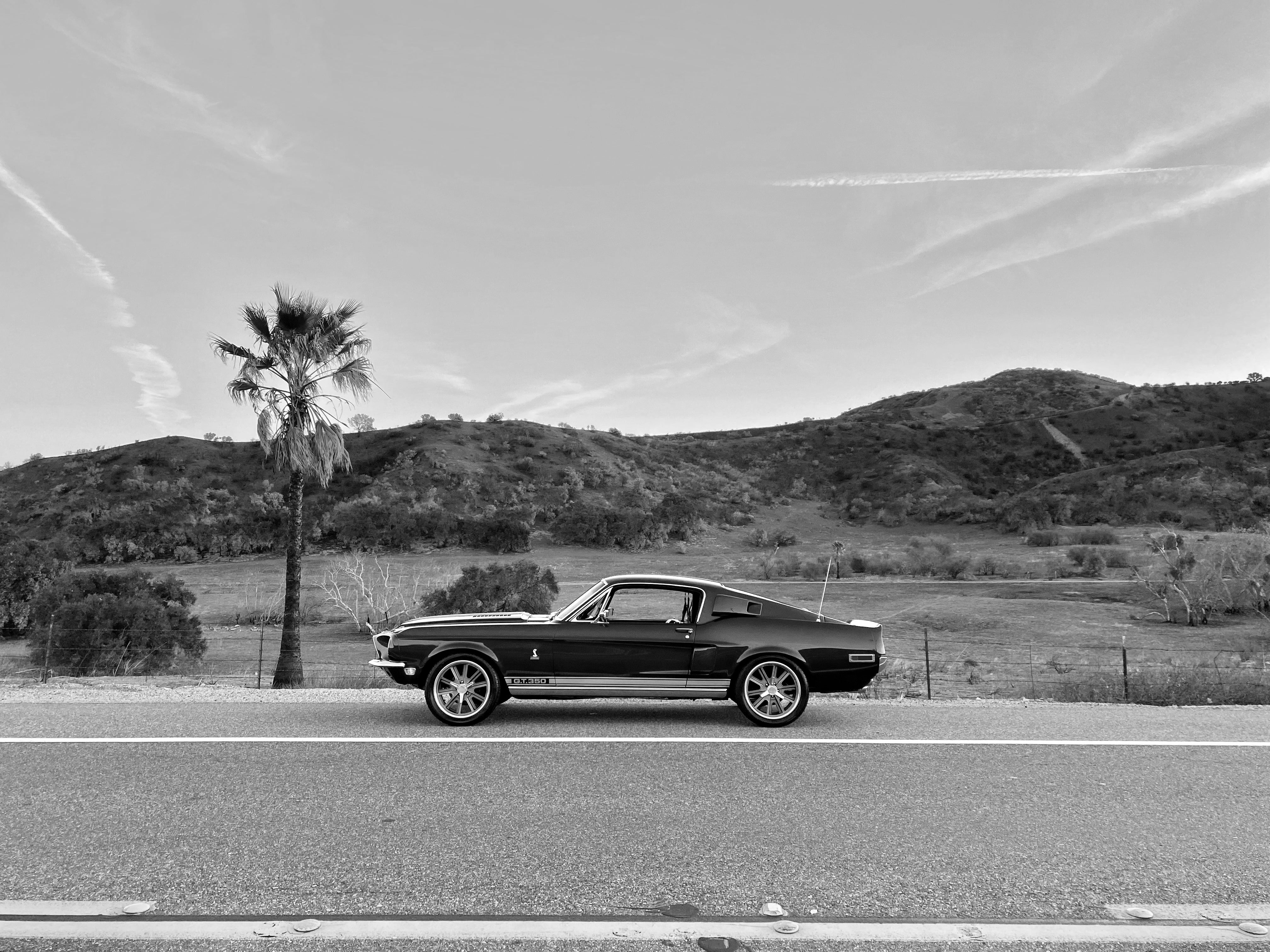 1968 Shelby Mustang GT350H FINE ART PRINT