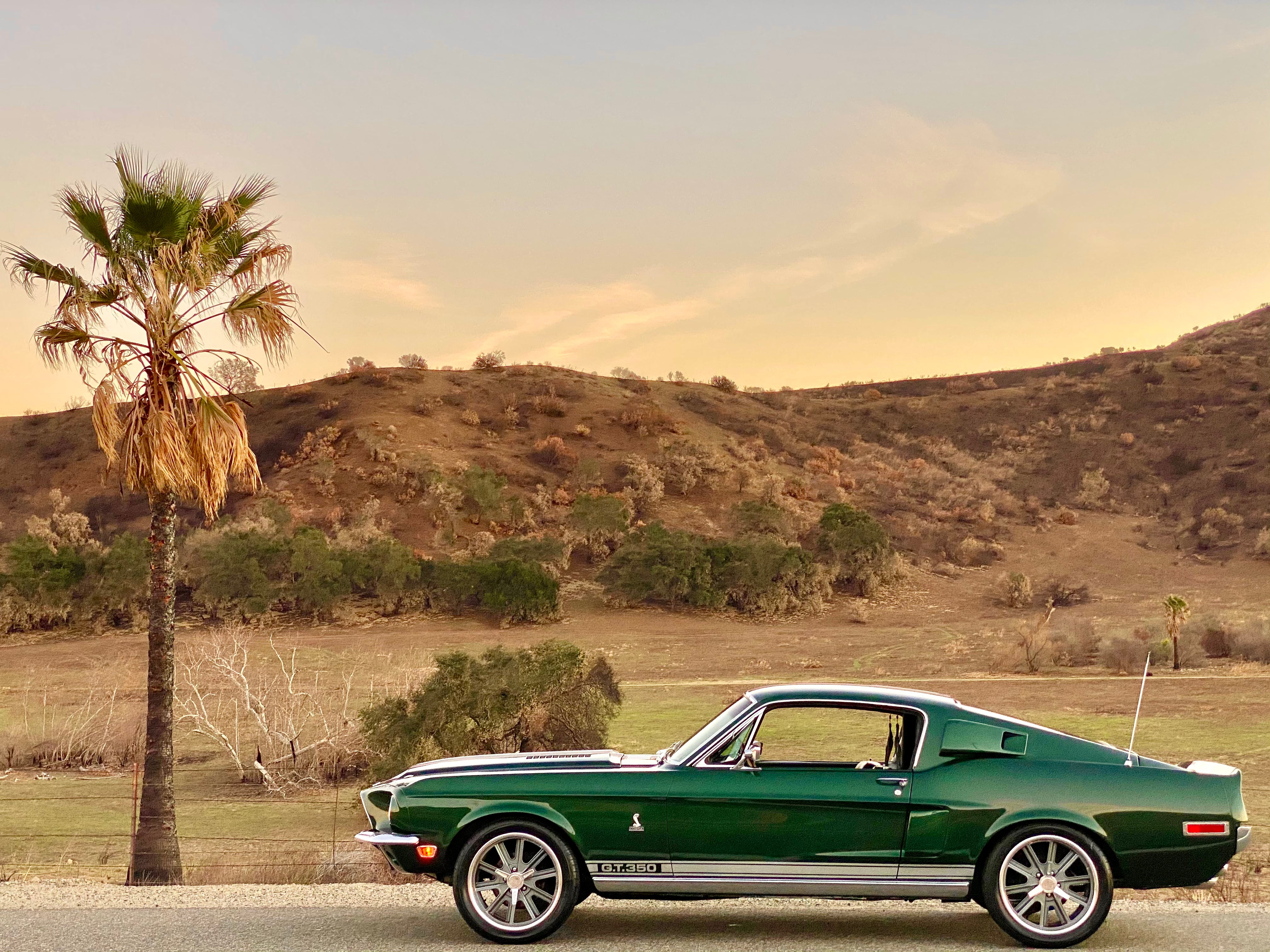 1968 Shelby Mustang GT350H FINE ART PRINT