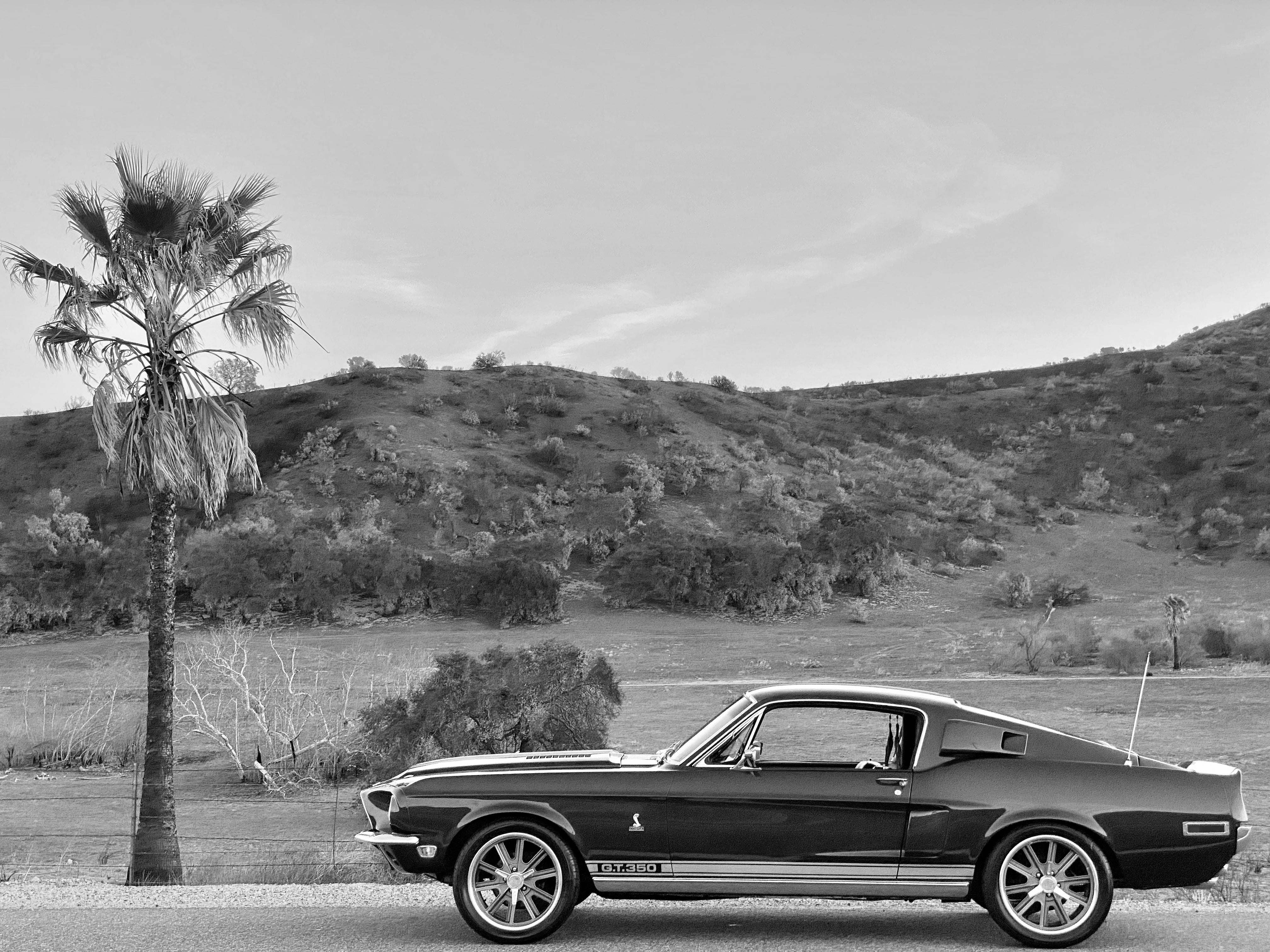 1968 Shelby Mustang GT350H FINE ART PRINT