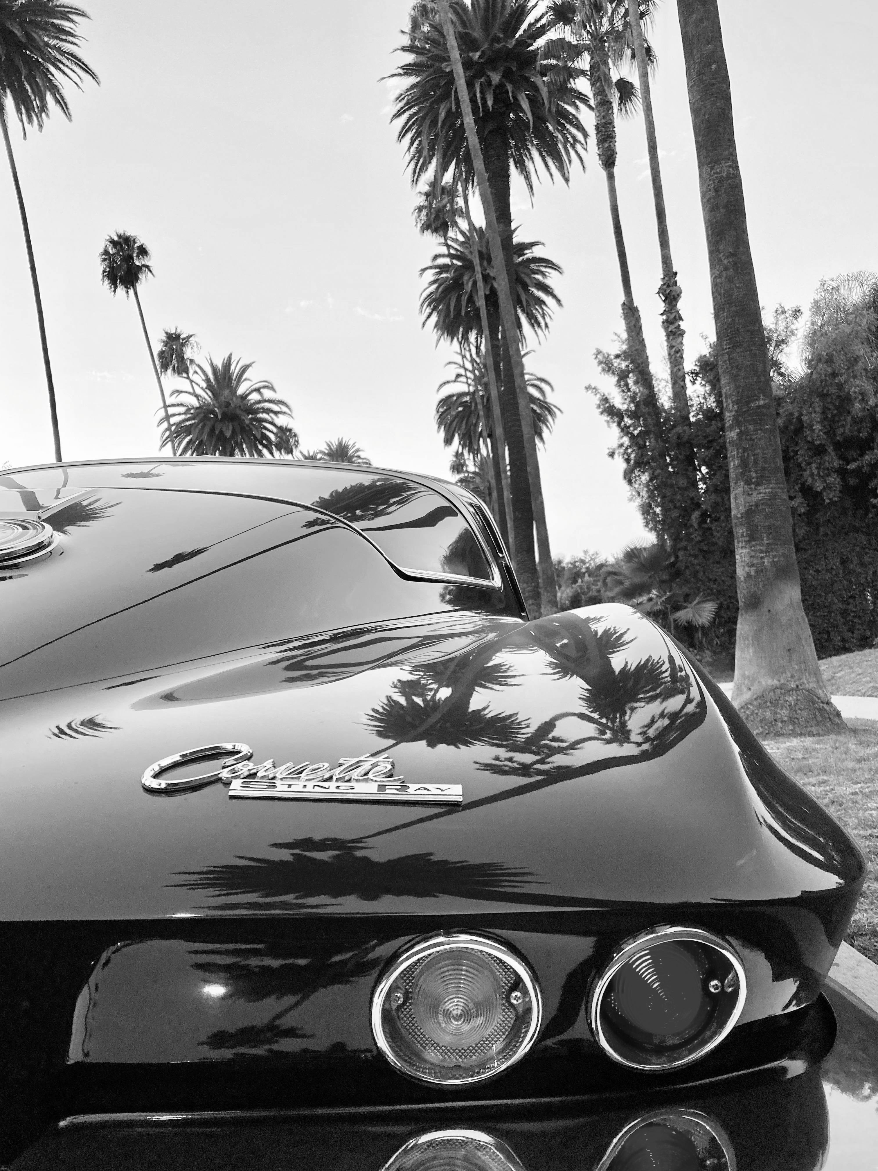 1965 Chevrolet Corvette FINE ART PRINT