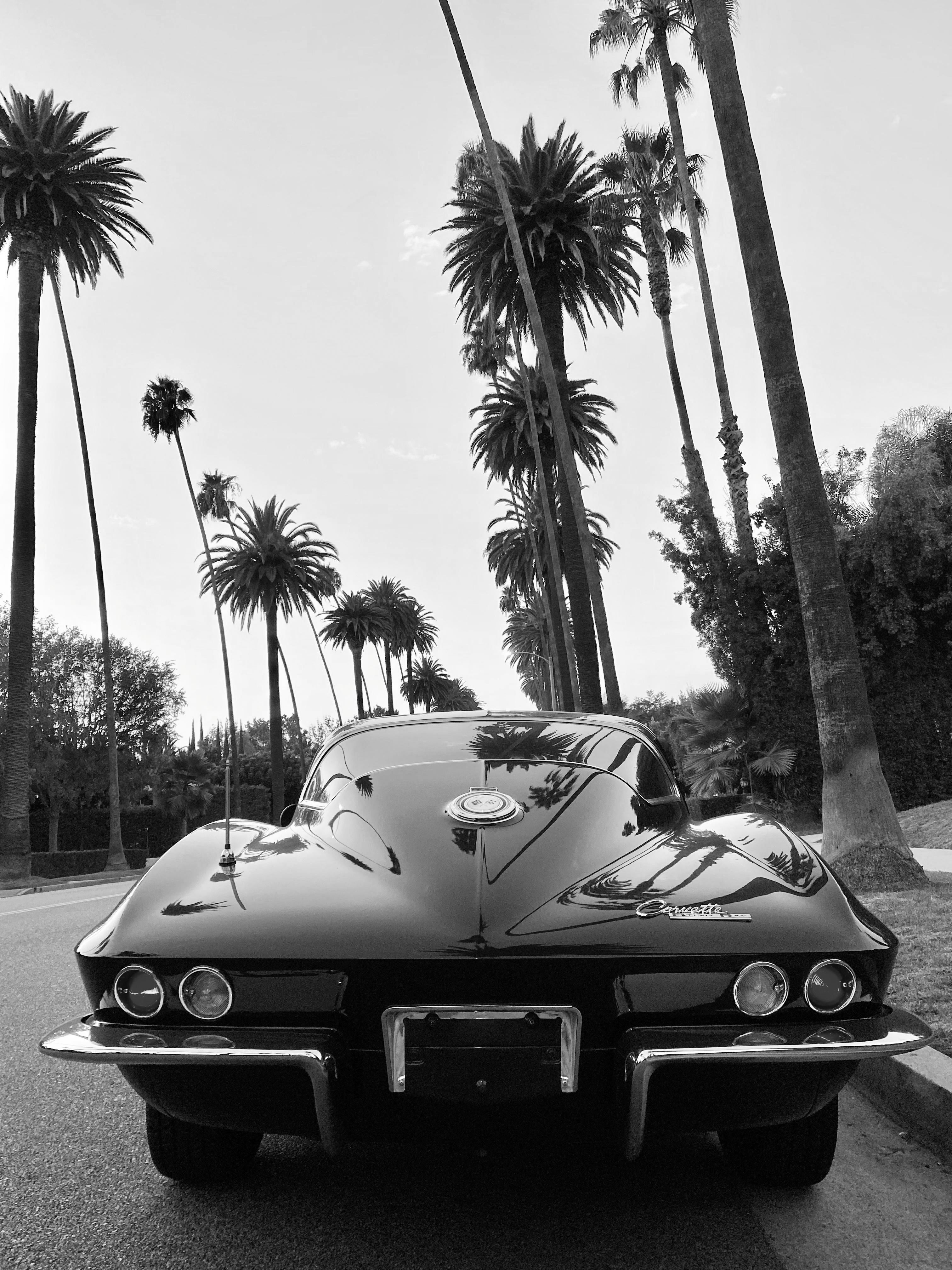 1965 Chevrolet Corvette FINE ART PRINT