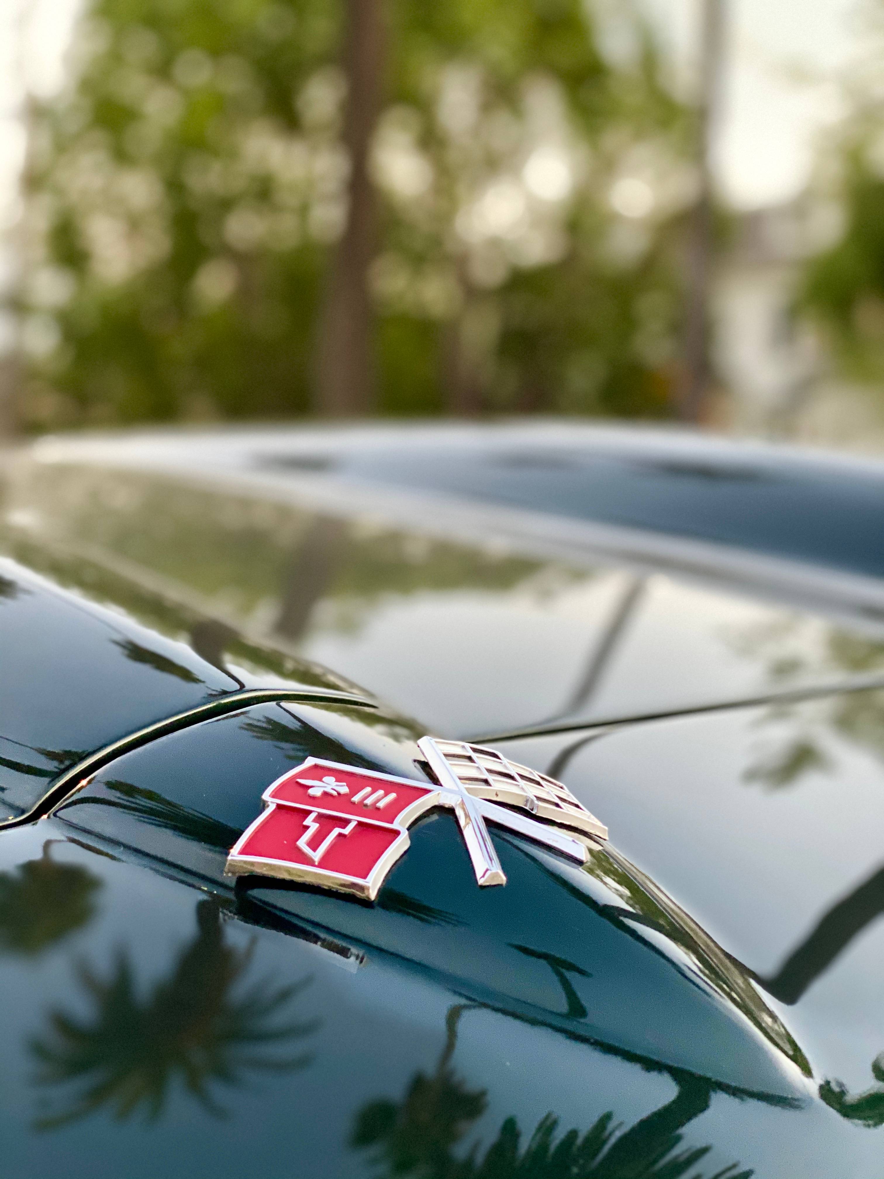 1965 Chevrolet Corvette FINE ART PRINT