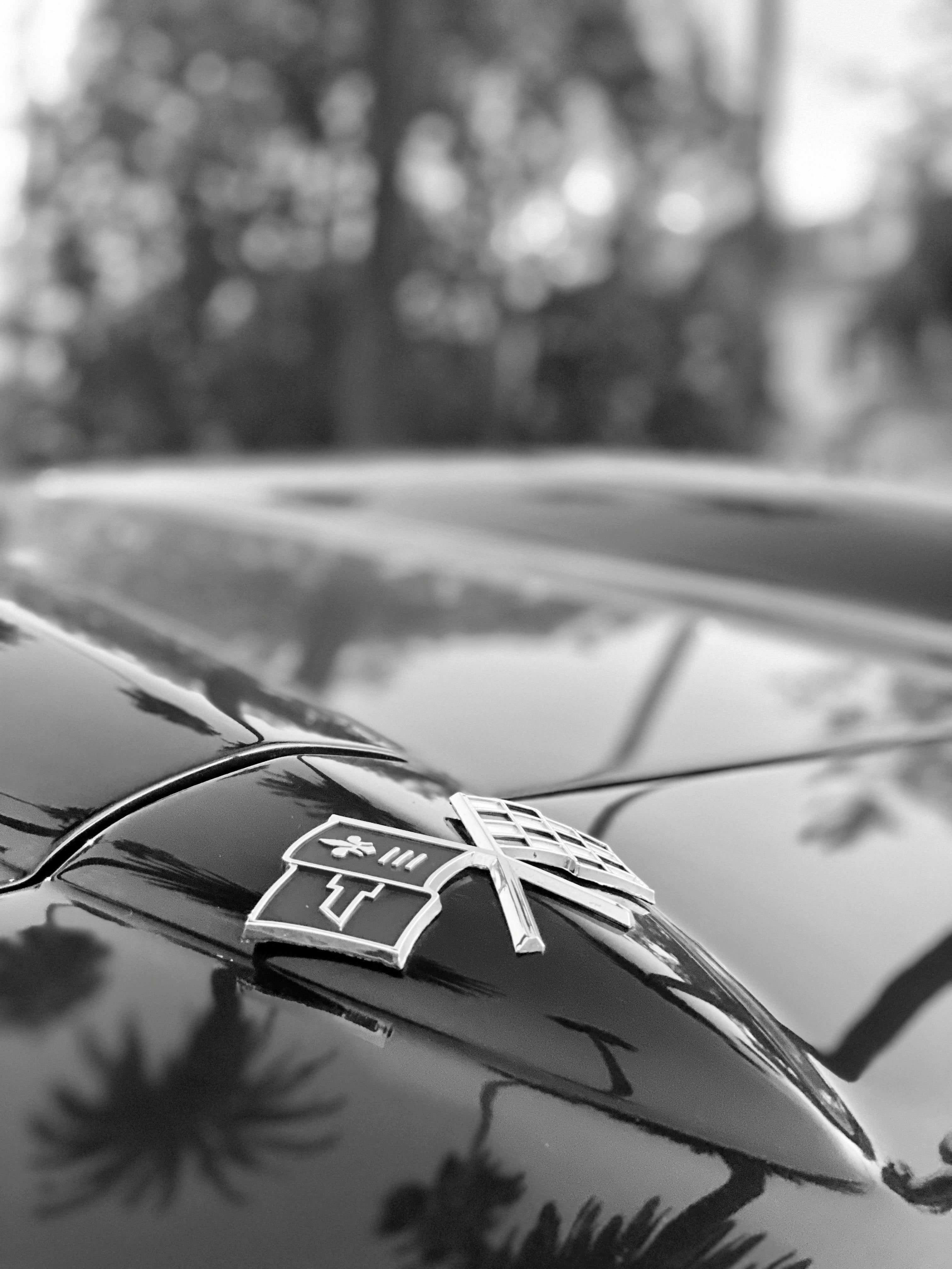 1965 Chevrolet Corvette FINE ART PRINT