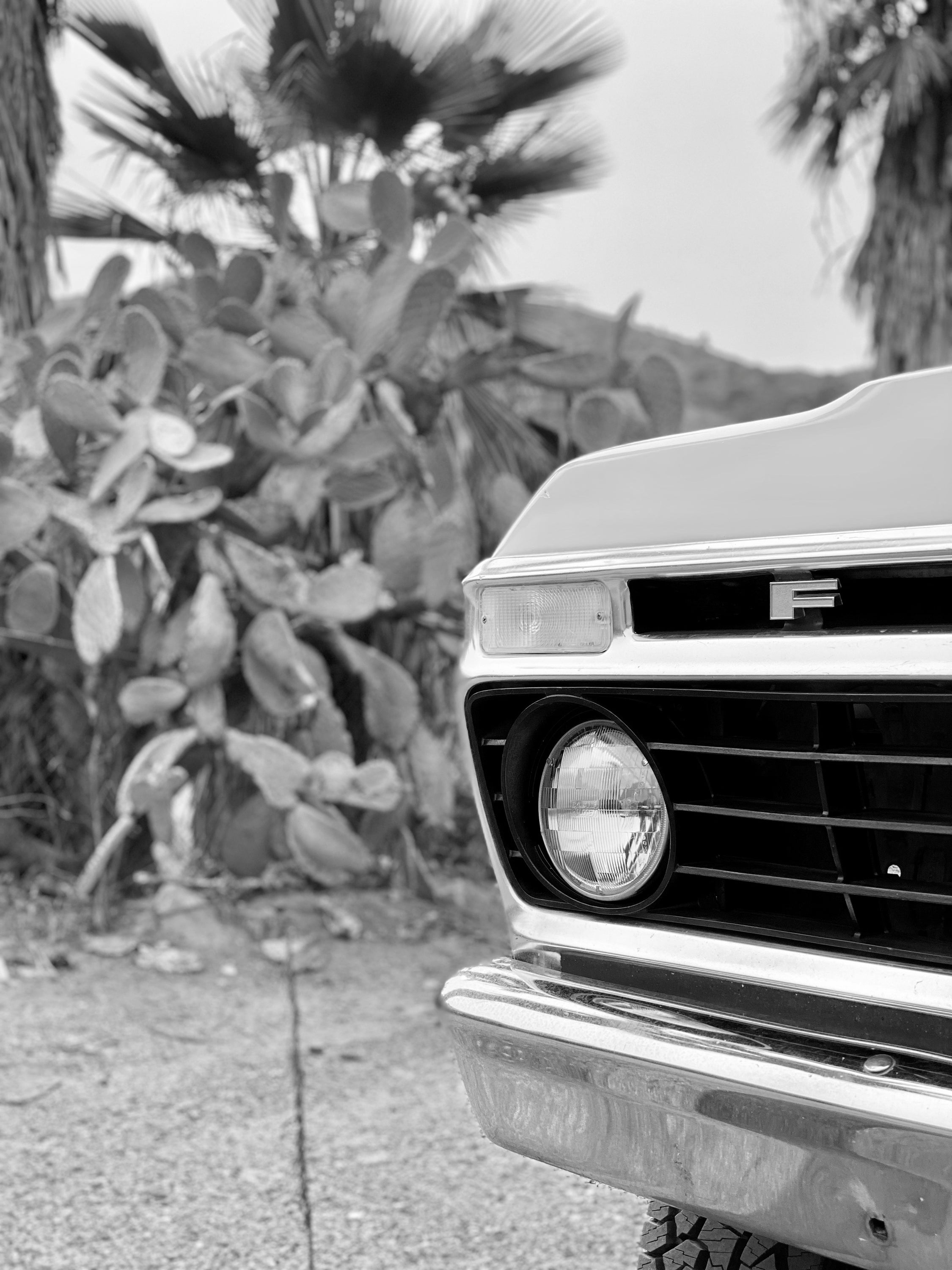 1975 Ford F-250 Highboy Wind Blue FINE ART PRINT