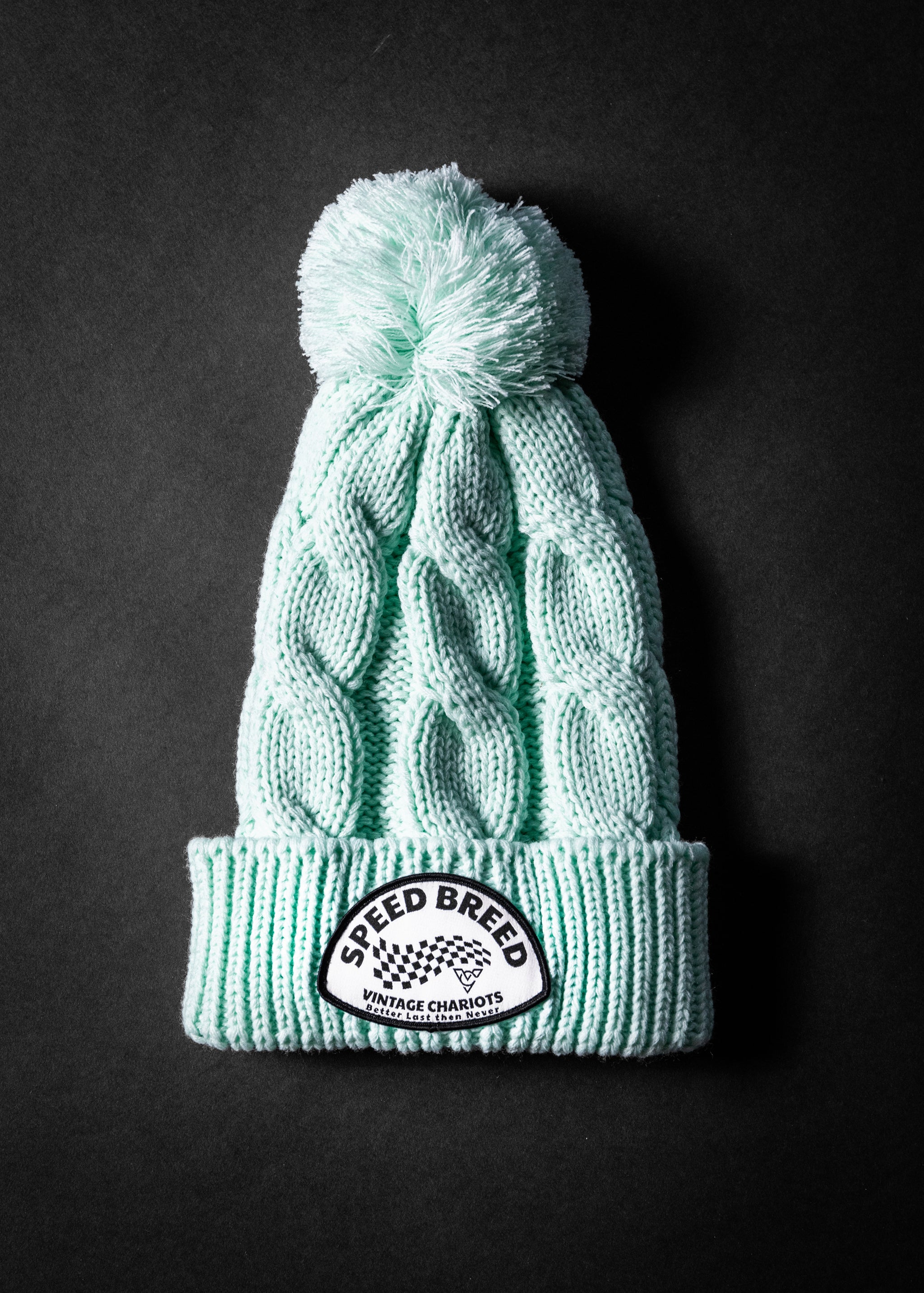 BETTER LAST CHUNK TWIST KNIT BEANIE (Seafoam)