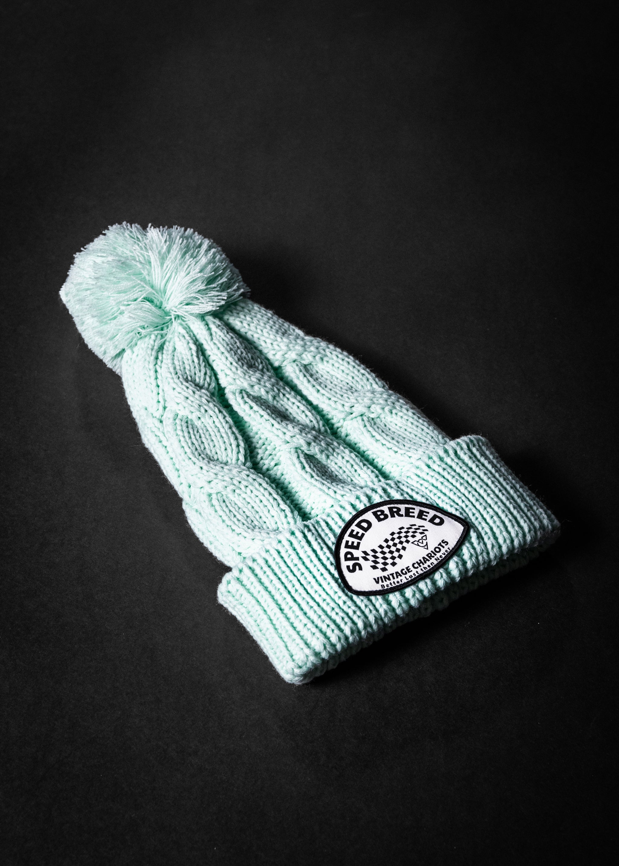 BETTER LAST CHUNK TWIST KNIT BEANIE (Seafoam)