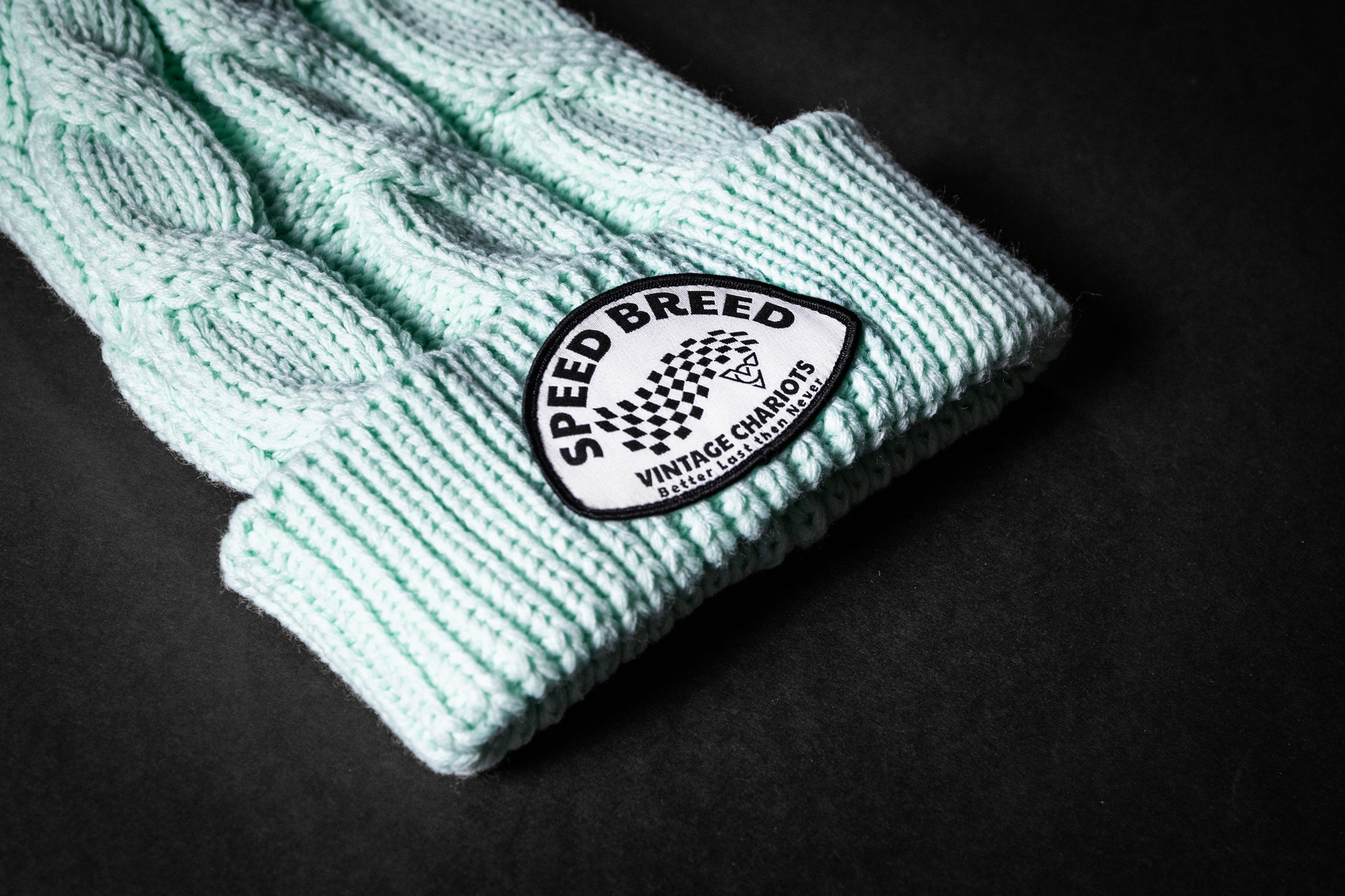 BETTER LAST CHUNK TWIST KNIT BEANIE (Seafoam)