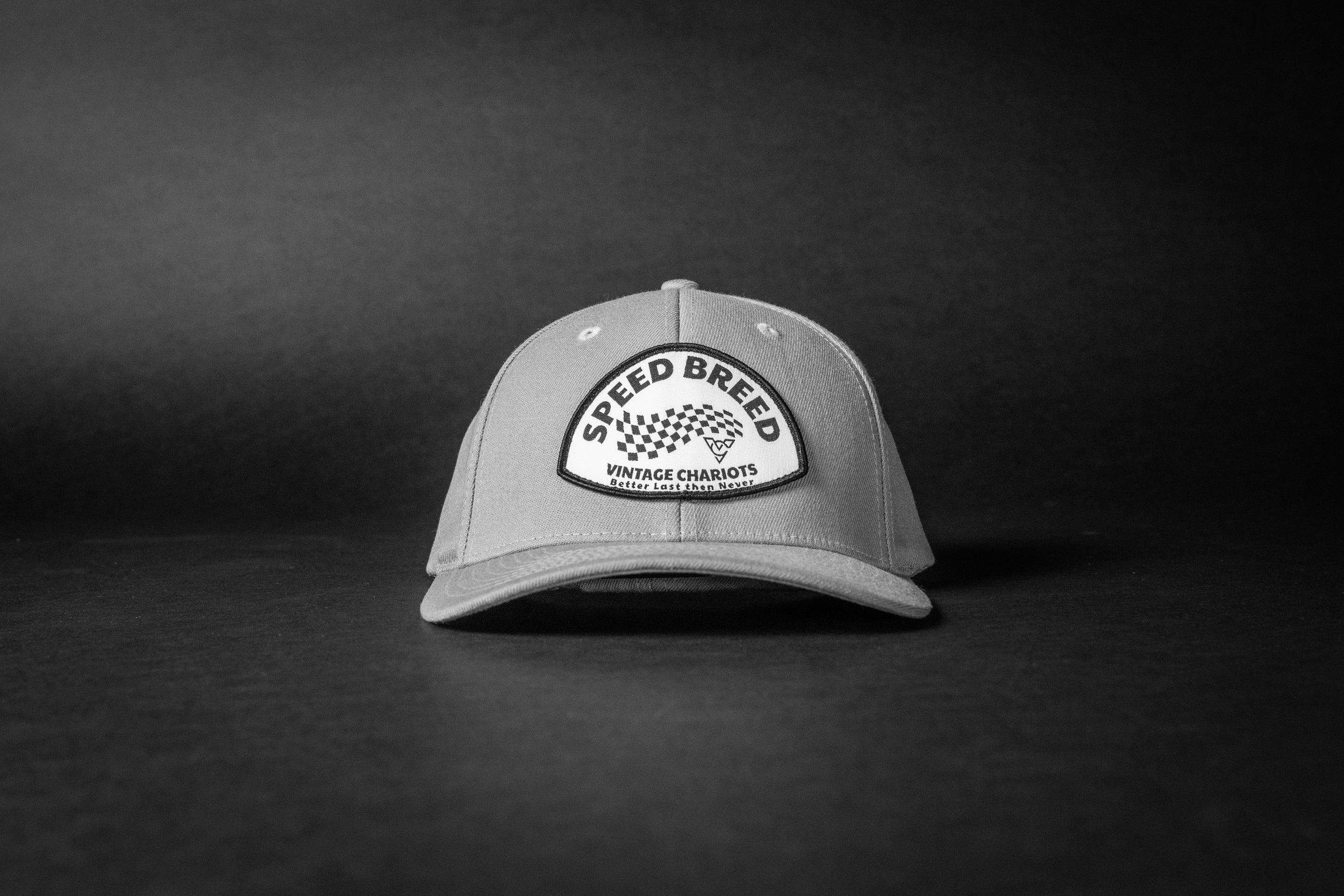 BETTER LAST (Grey FlexFit)