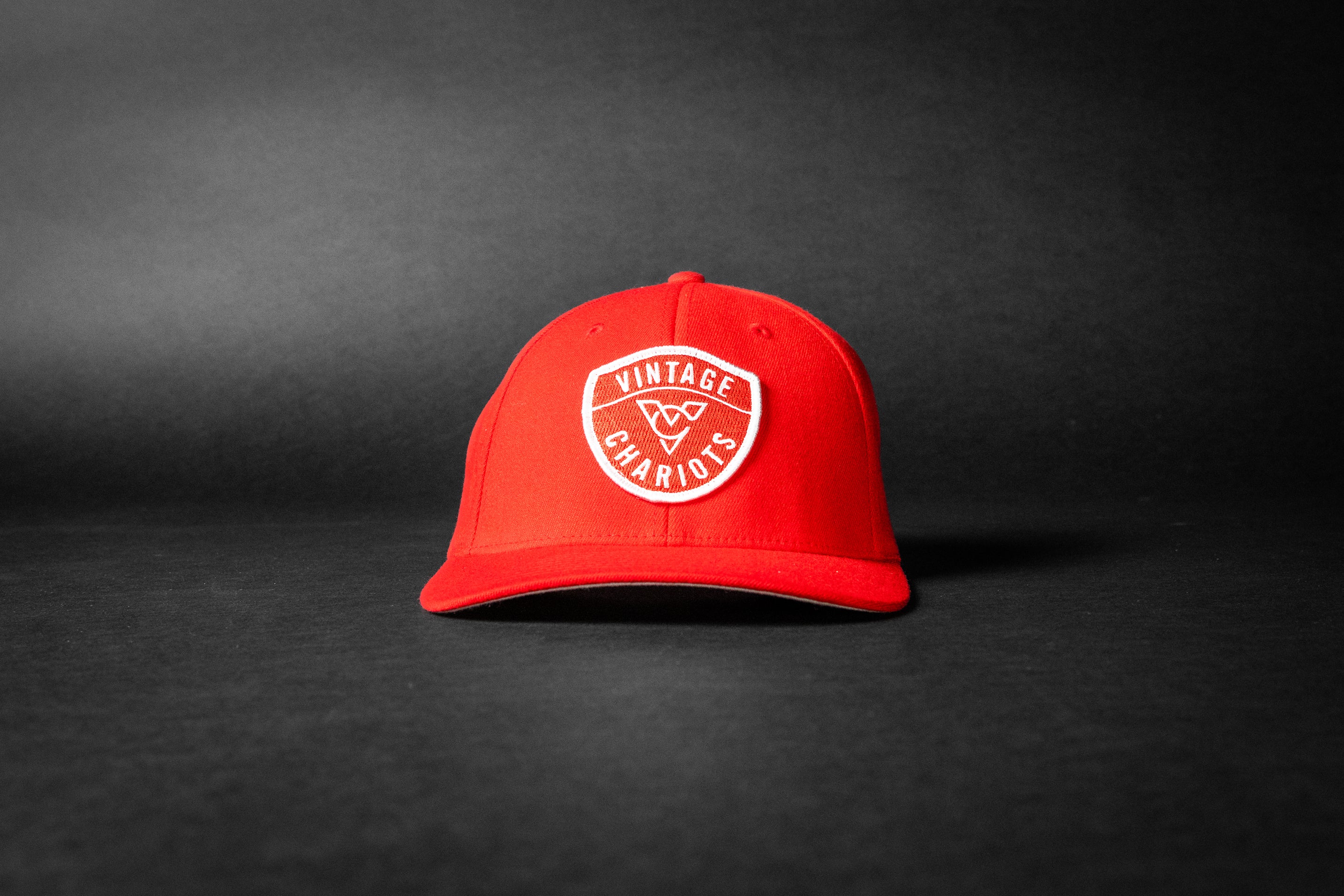 LIFEGUARD (Red FlexFit)