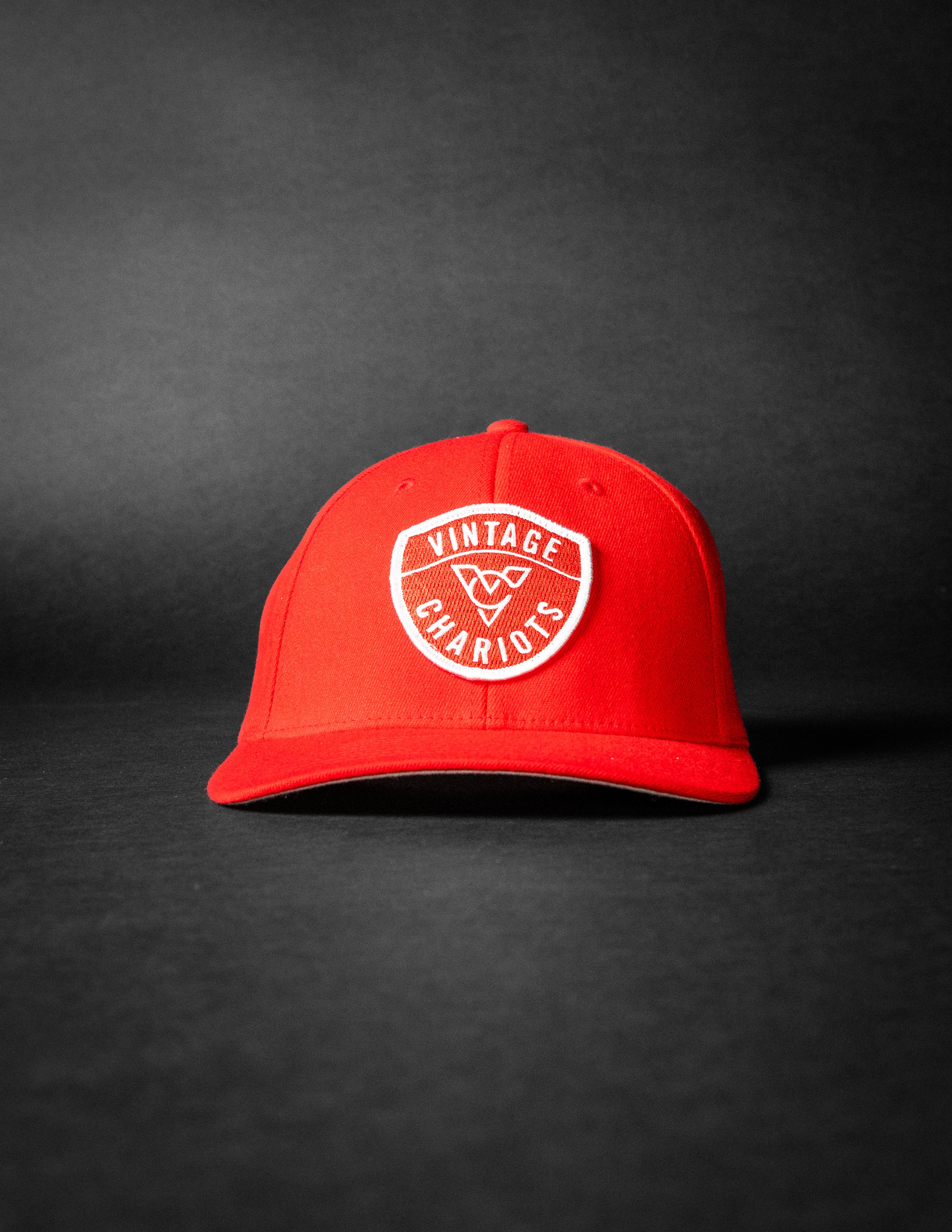 LIFEGUARD (Red FlexFit)