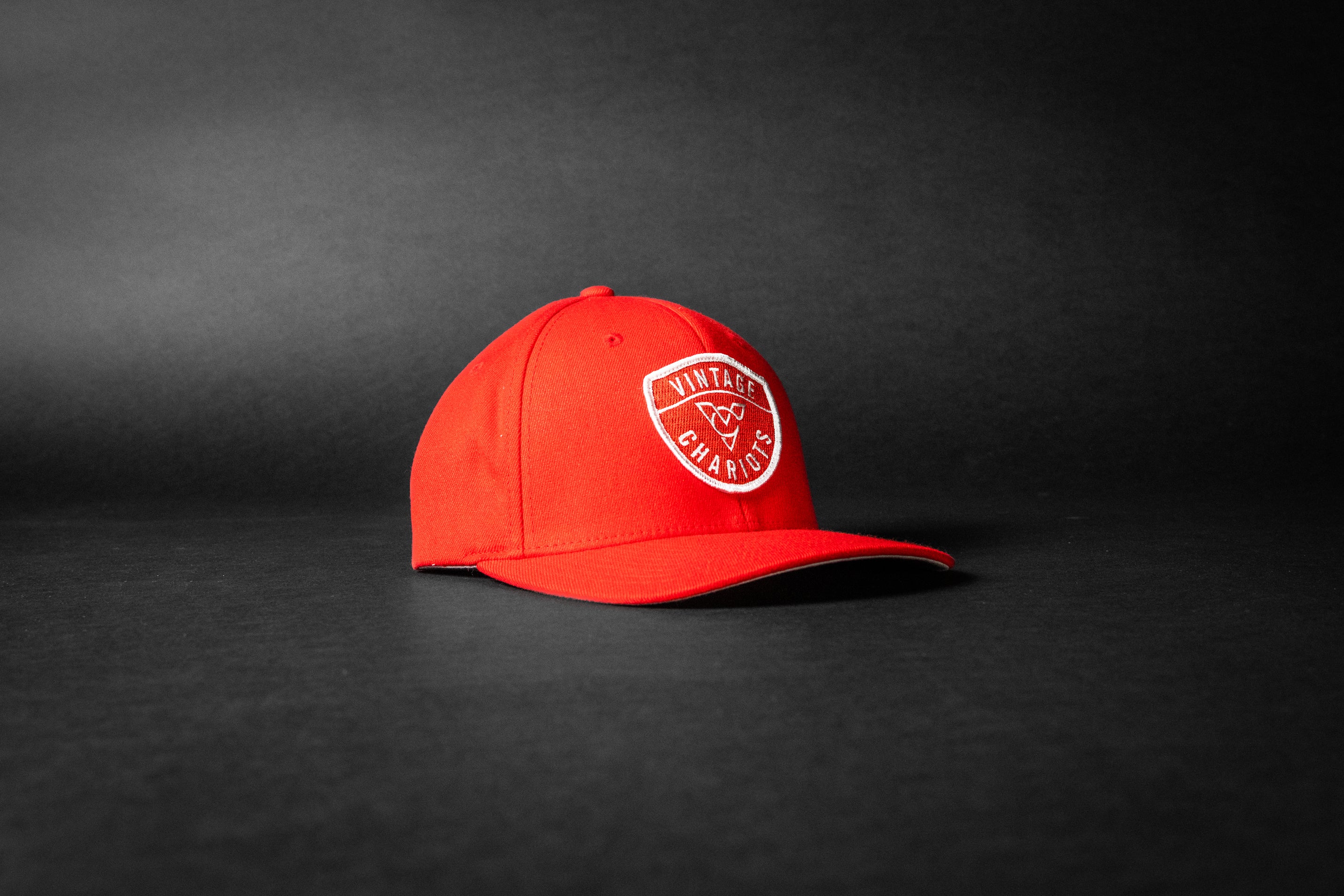 LIFEGUARD (Red FlexFit)