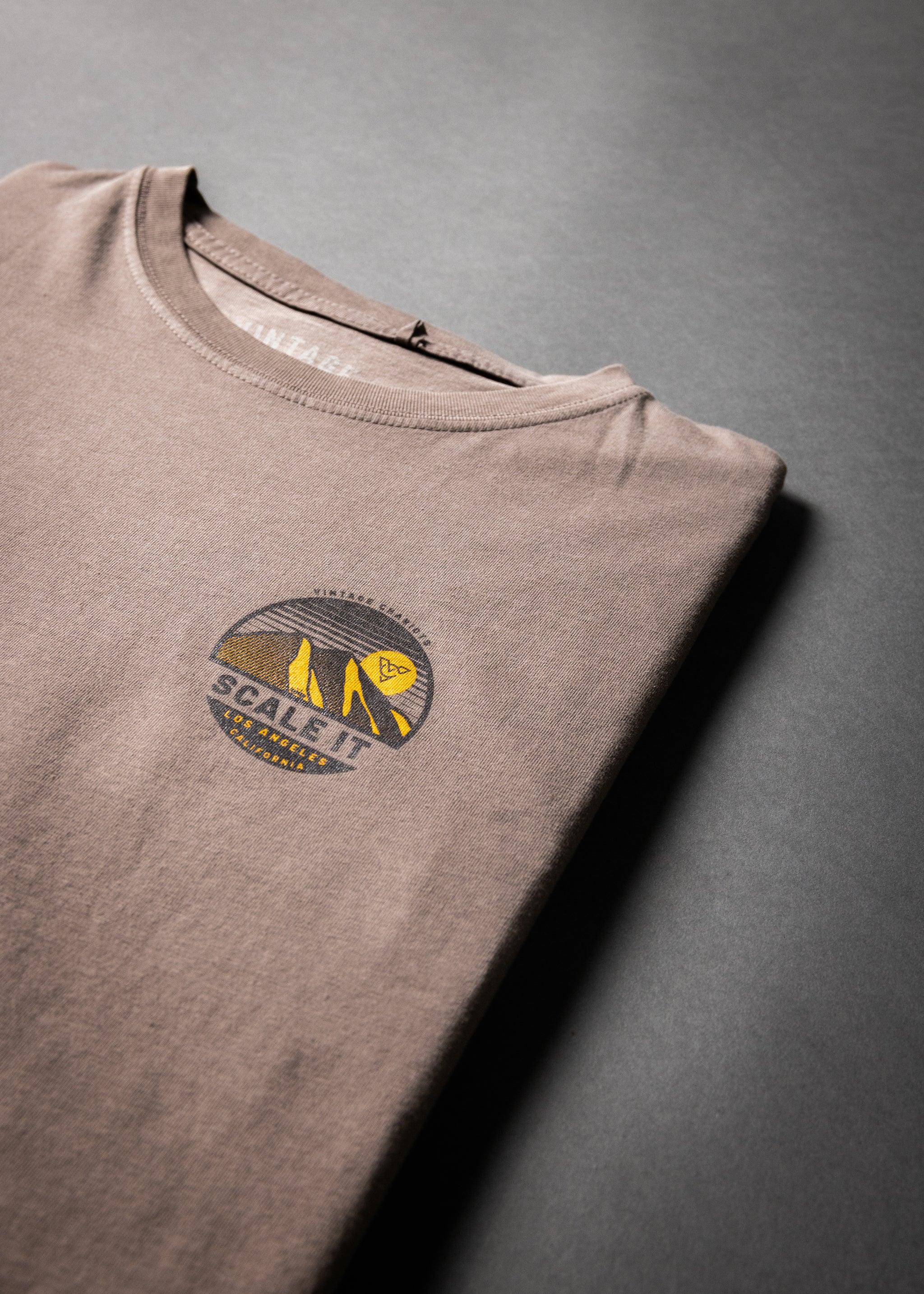 SCALE IT LONG SLEEVE TEE (Cinder)